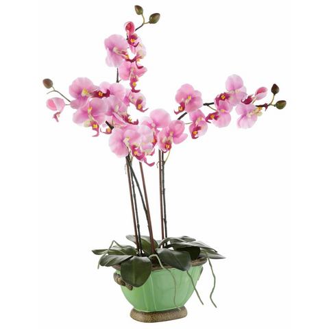 HOME AFFAIRE Bloemstuk Orchidee