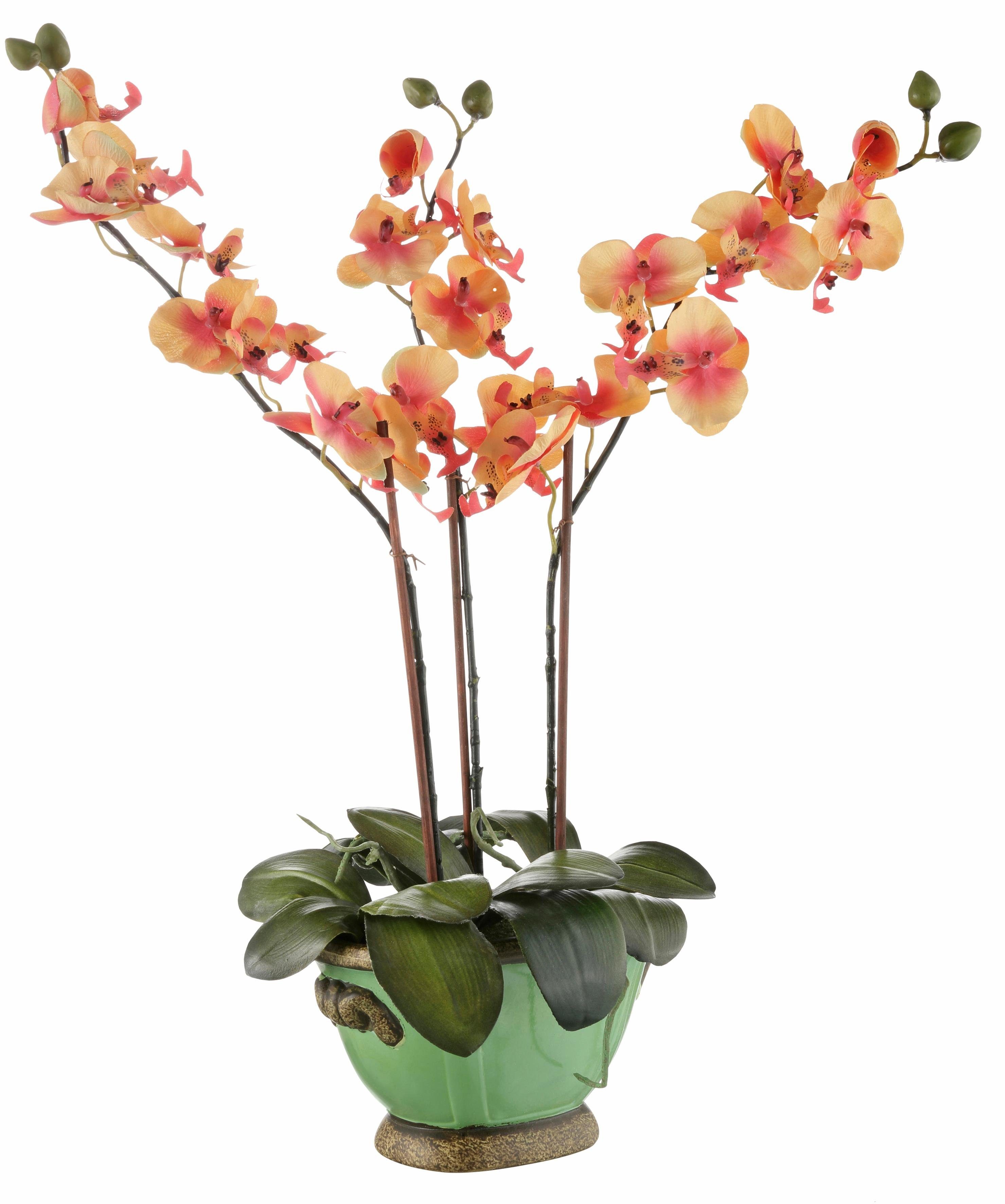 Sympton instructeur Sjah I.GE.A. Kunstplant Orchidee (1 stuk) koop je bij | OTTO