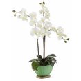 i.ge.a. kunstplant orchidee wit
