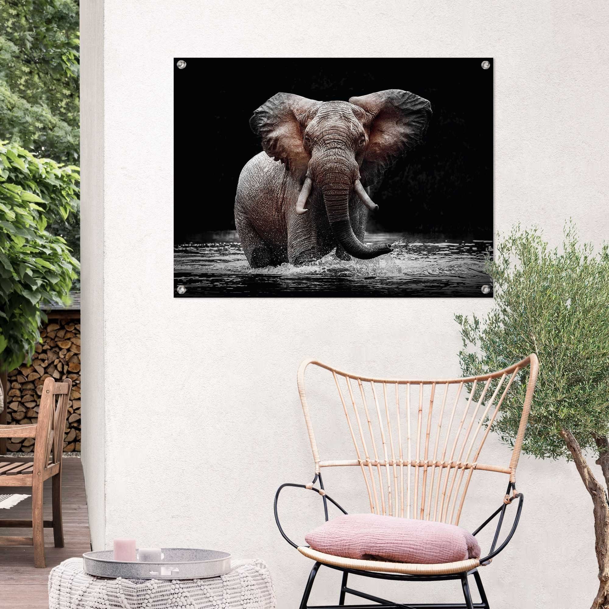 Reinders! Poster Olifant Outdoor voor tuin of balkon