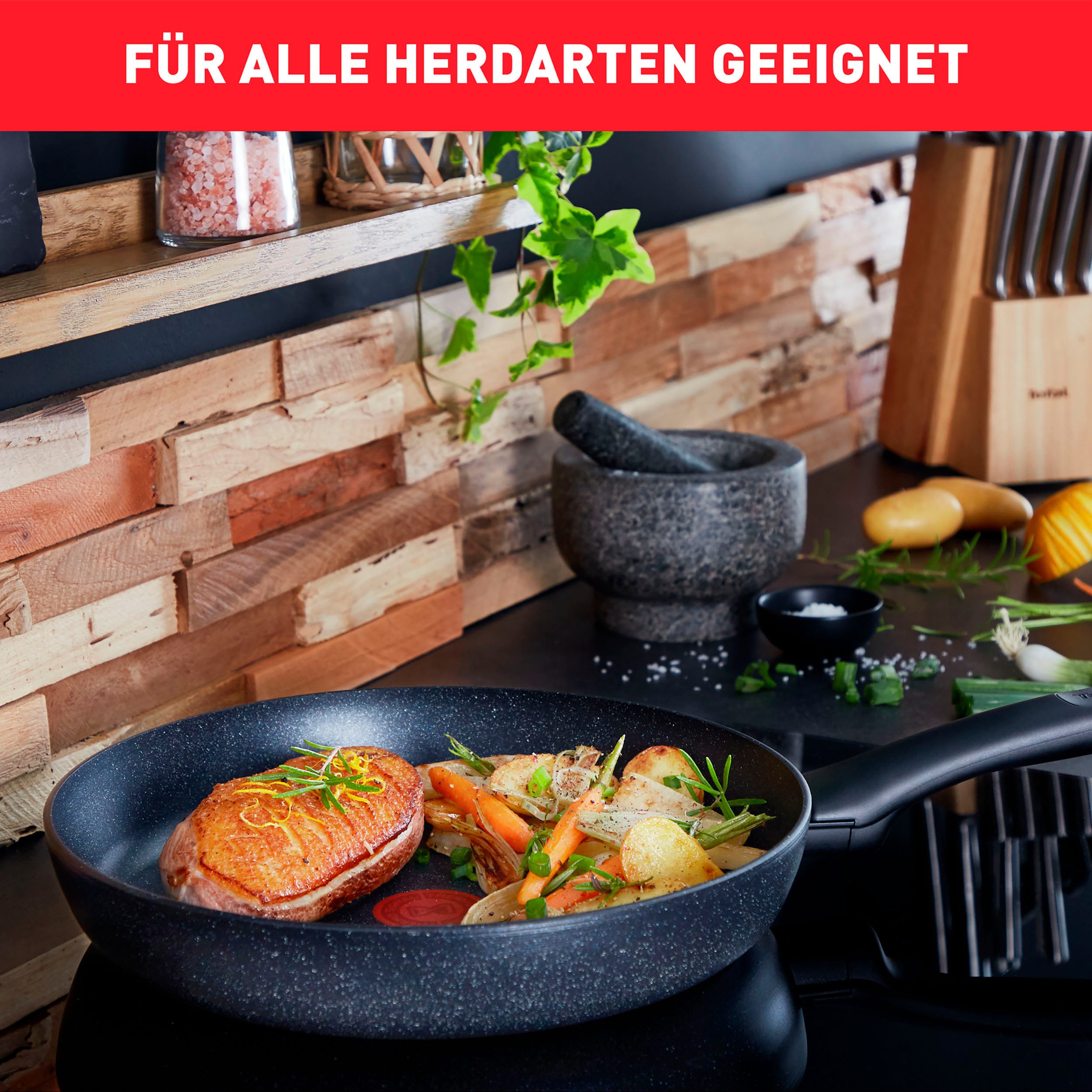 Tefal Koekenpan G28102 Black Stone Ø 20 cm Mineralia+ anti-aanbakverzegeling, thermo-signaal, inductiegeschikt