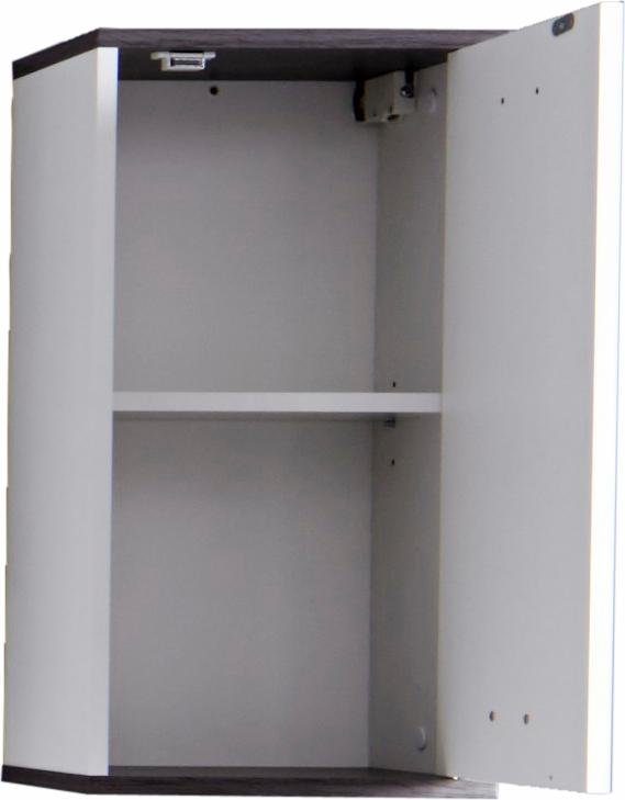 welltime Hangend kastje Sanremo Badkamerkast met 2 vakken in wit/rookzilverkleur - (B/D/H) 32/21/60 cm