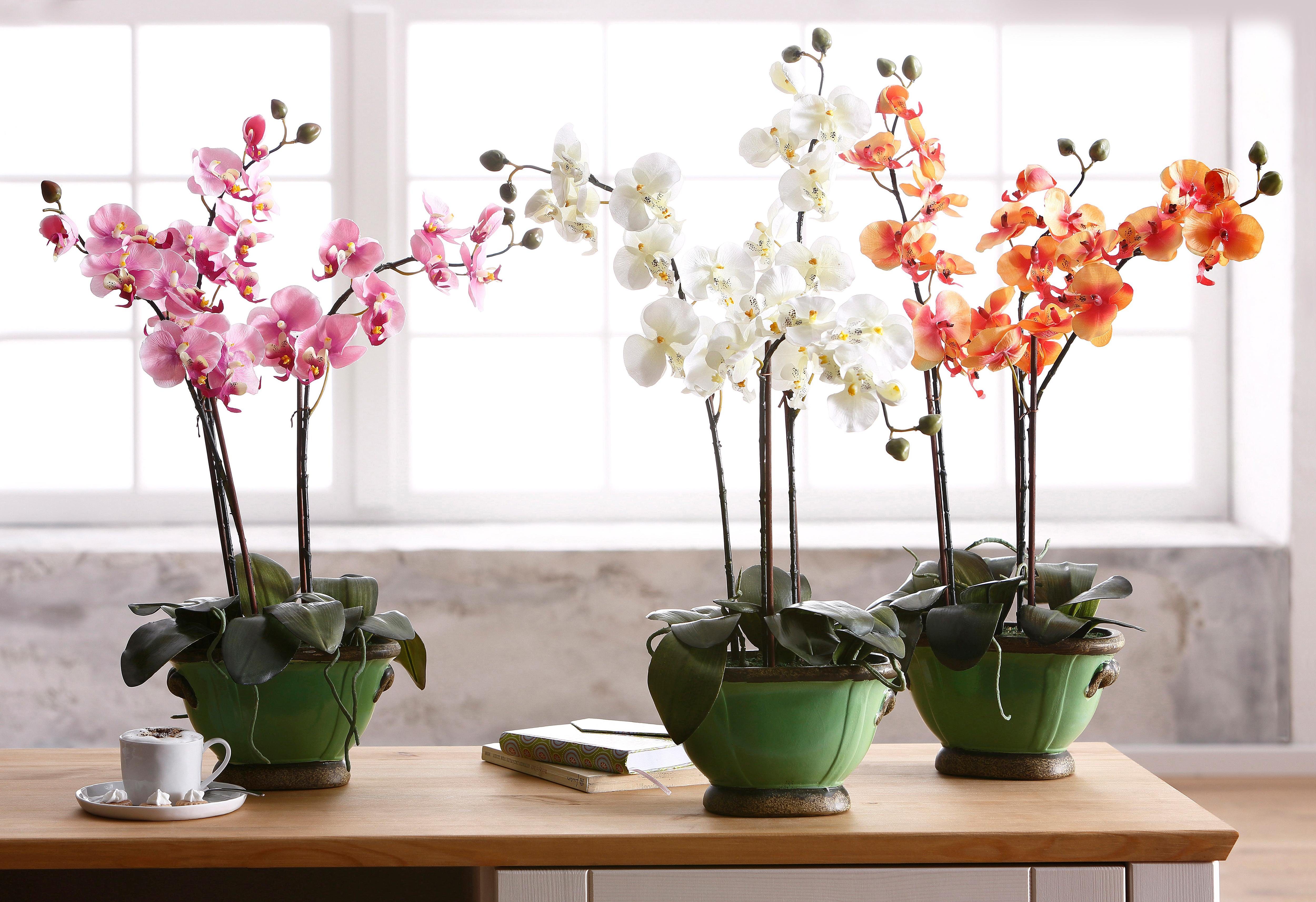 I.GE.A. Kunstplant Orchidee (1 stuk)