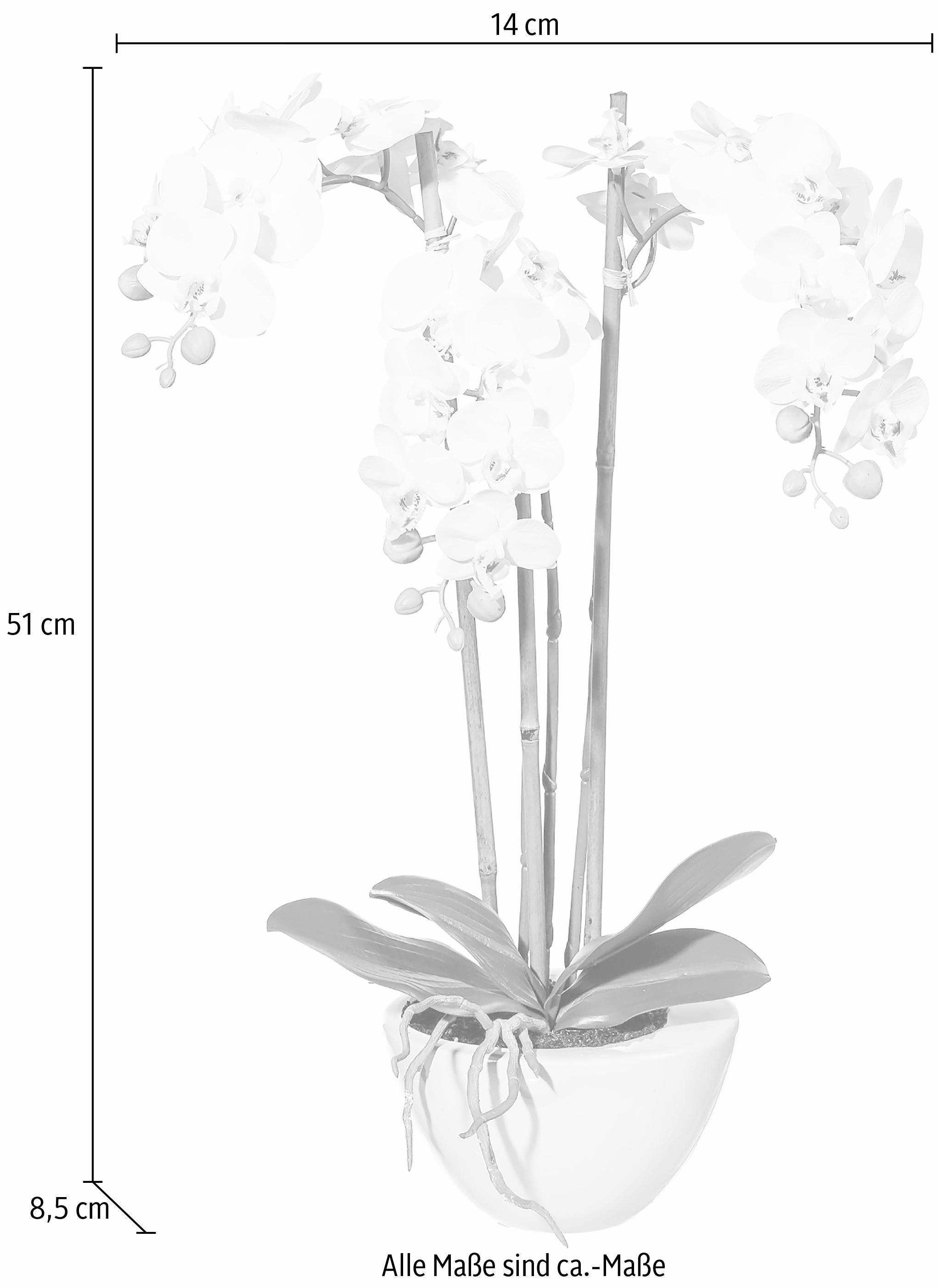 Creativ green Kunstplant Mini orchidee (1 stuk)
