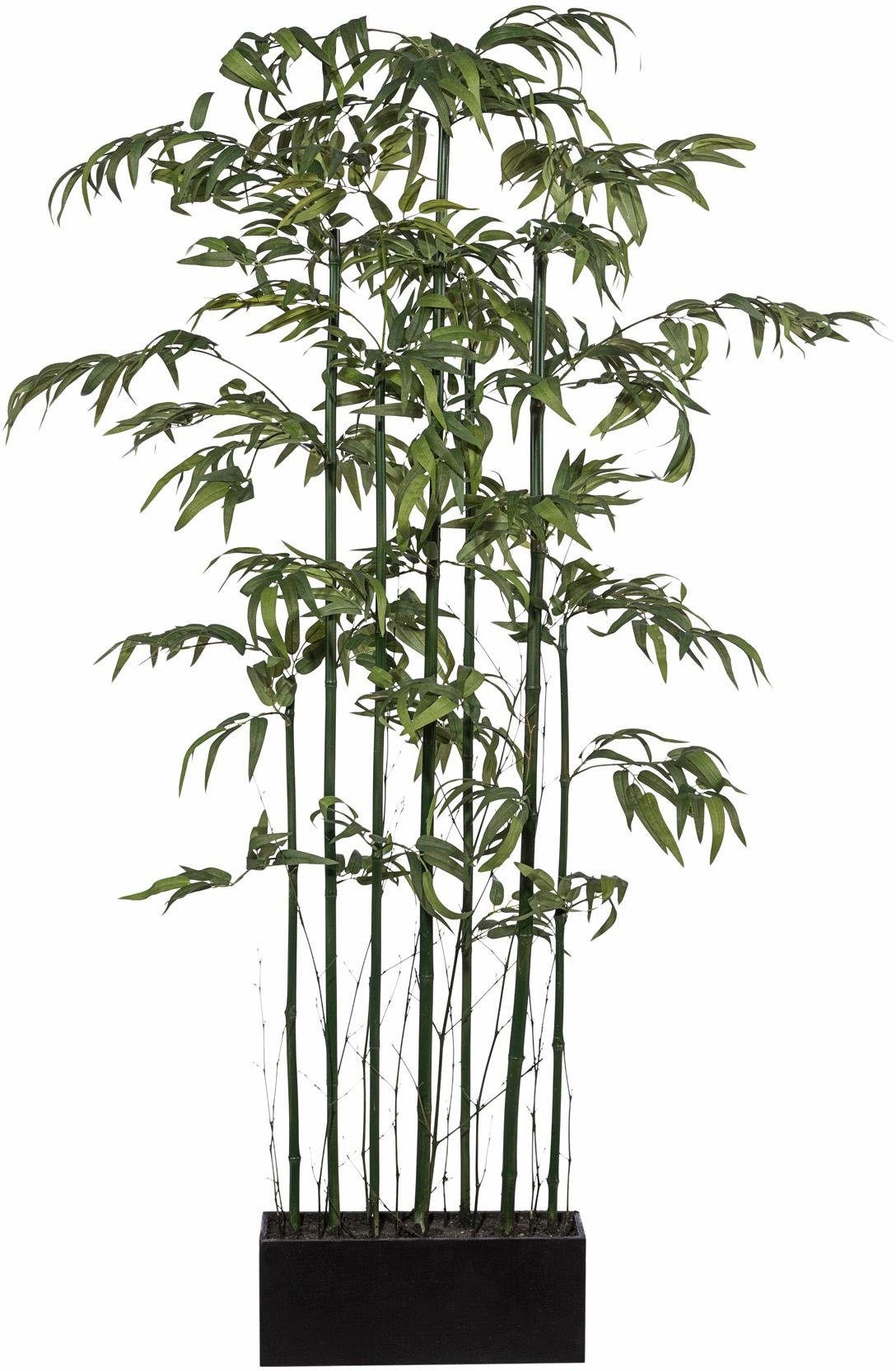Creativ green Kunstbamboe Bamboe roomdivider (1 stuk) kunstplanten & bloemen maat 30 cm x 150 cm x 14 cm groen