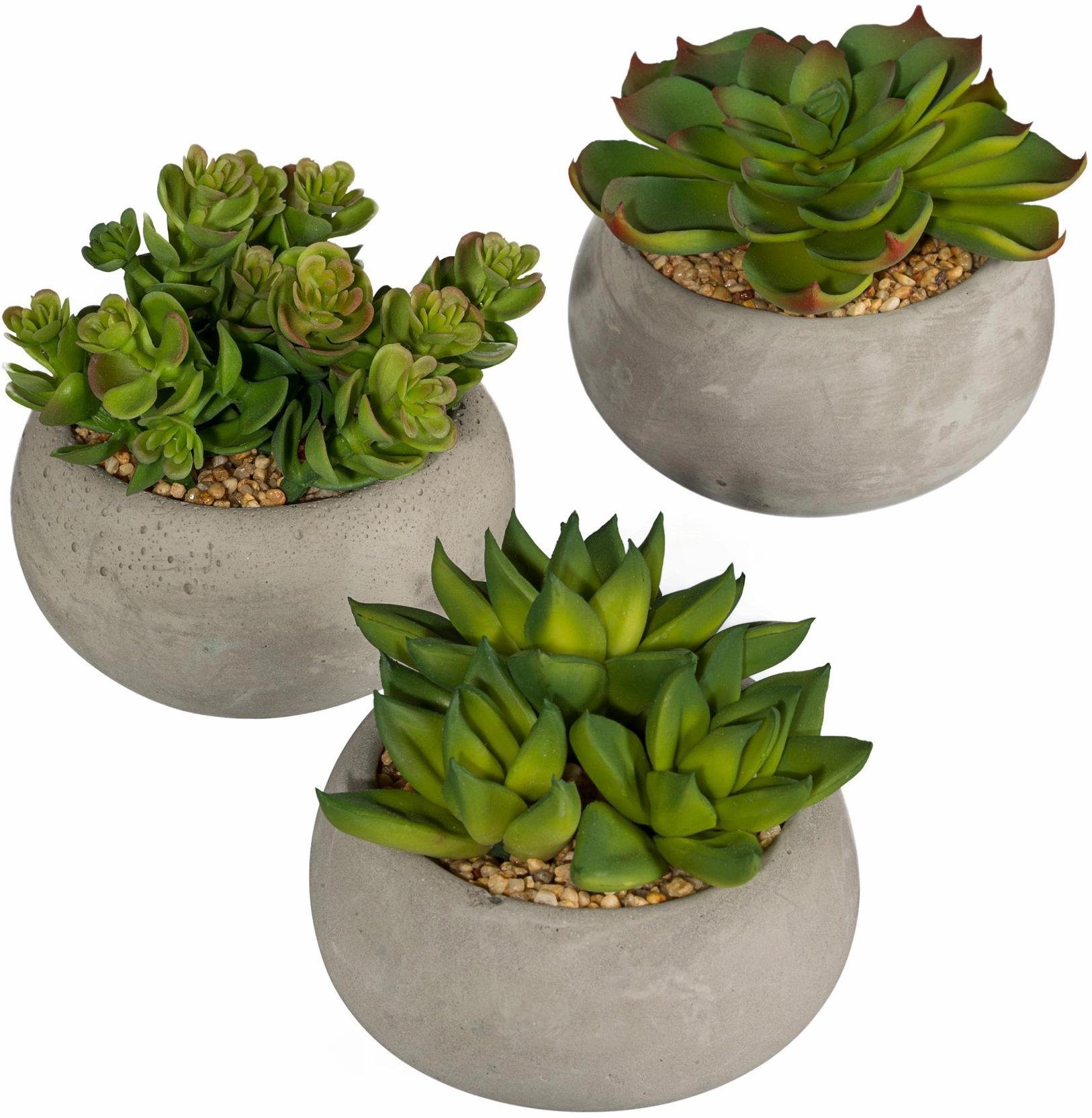 Creativ green Kunstplant Vetplanten (set, 3 stuks)
