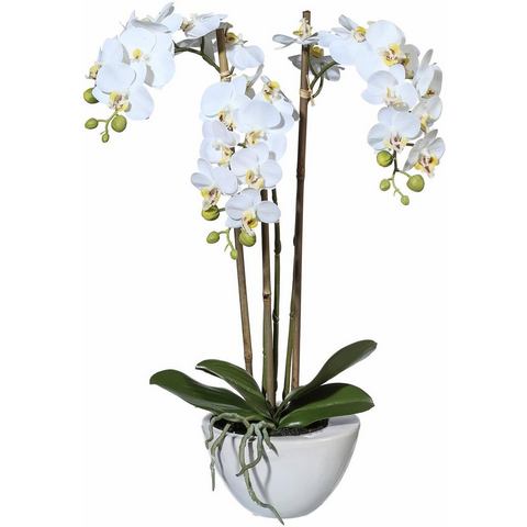 Creativ green kunstplant Mini orchidee