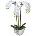 creativ green kunstplant mini orchidee wit