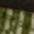 Home affaire Stoel met 4 poten Kasia (set, 2 stuks)