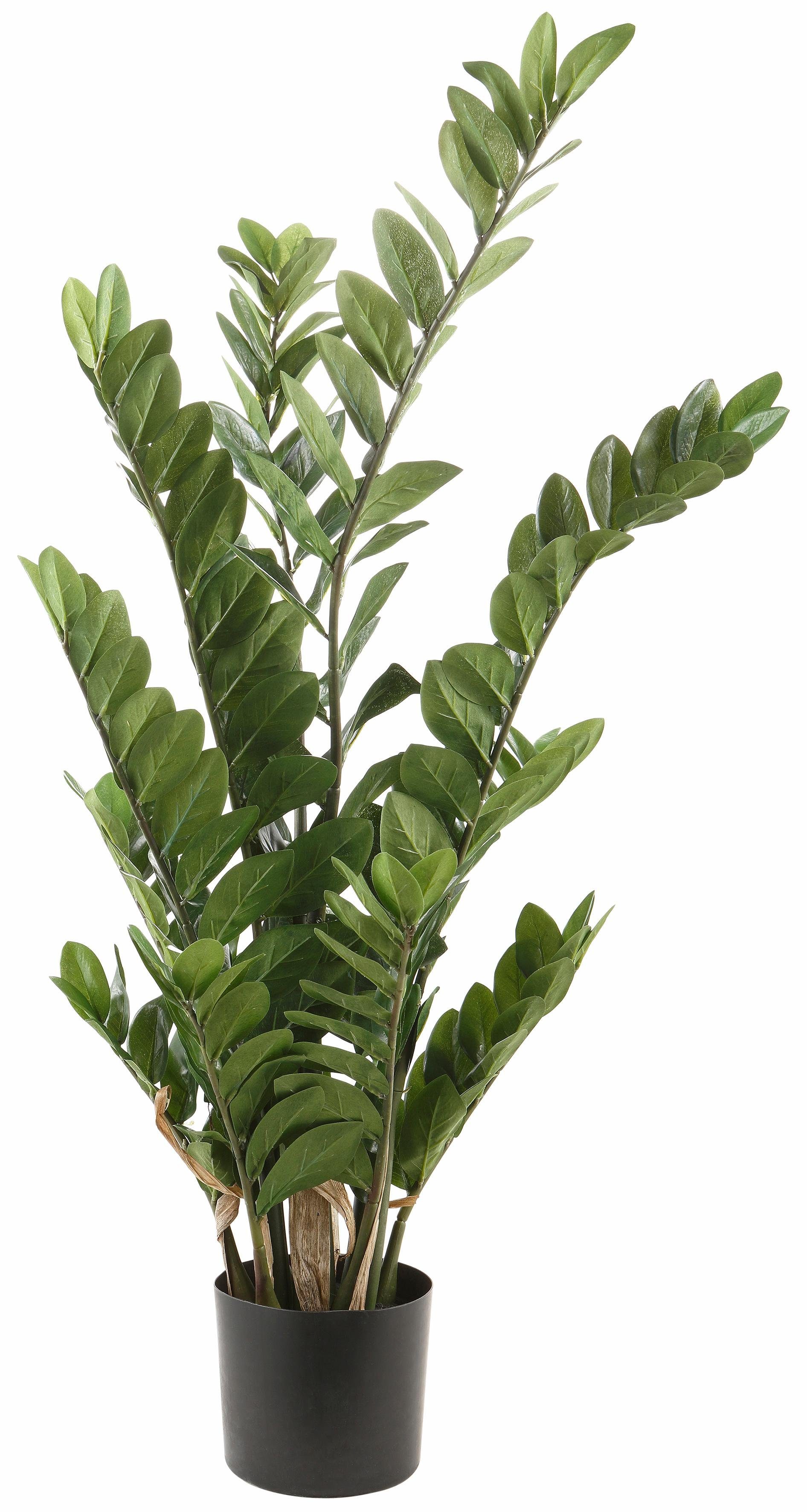 Creativ green Kunstplant Zamifolia