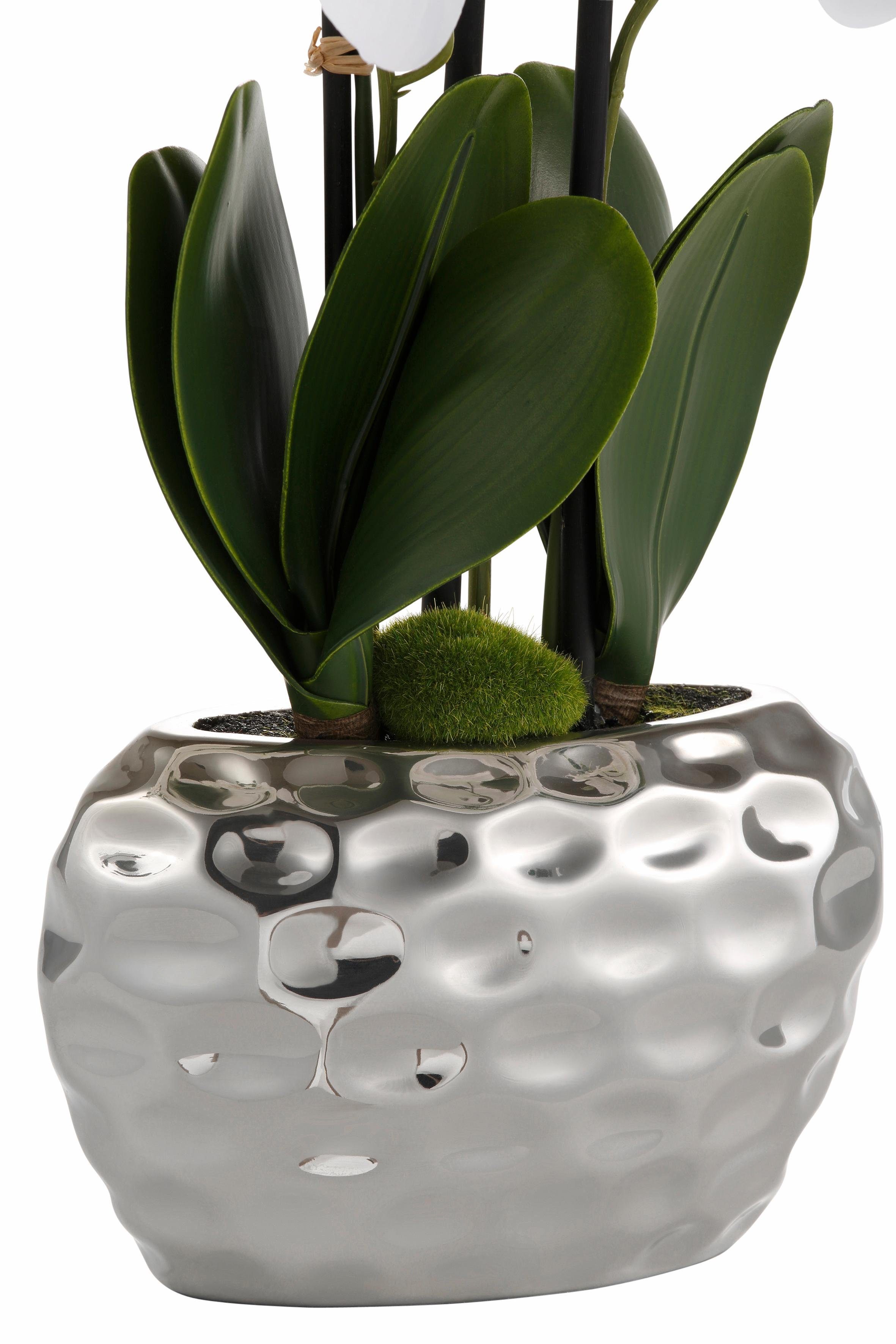 Creativ green Kunstplant Orchidee (1 stuk)