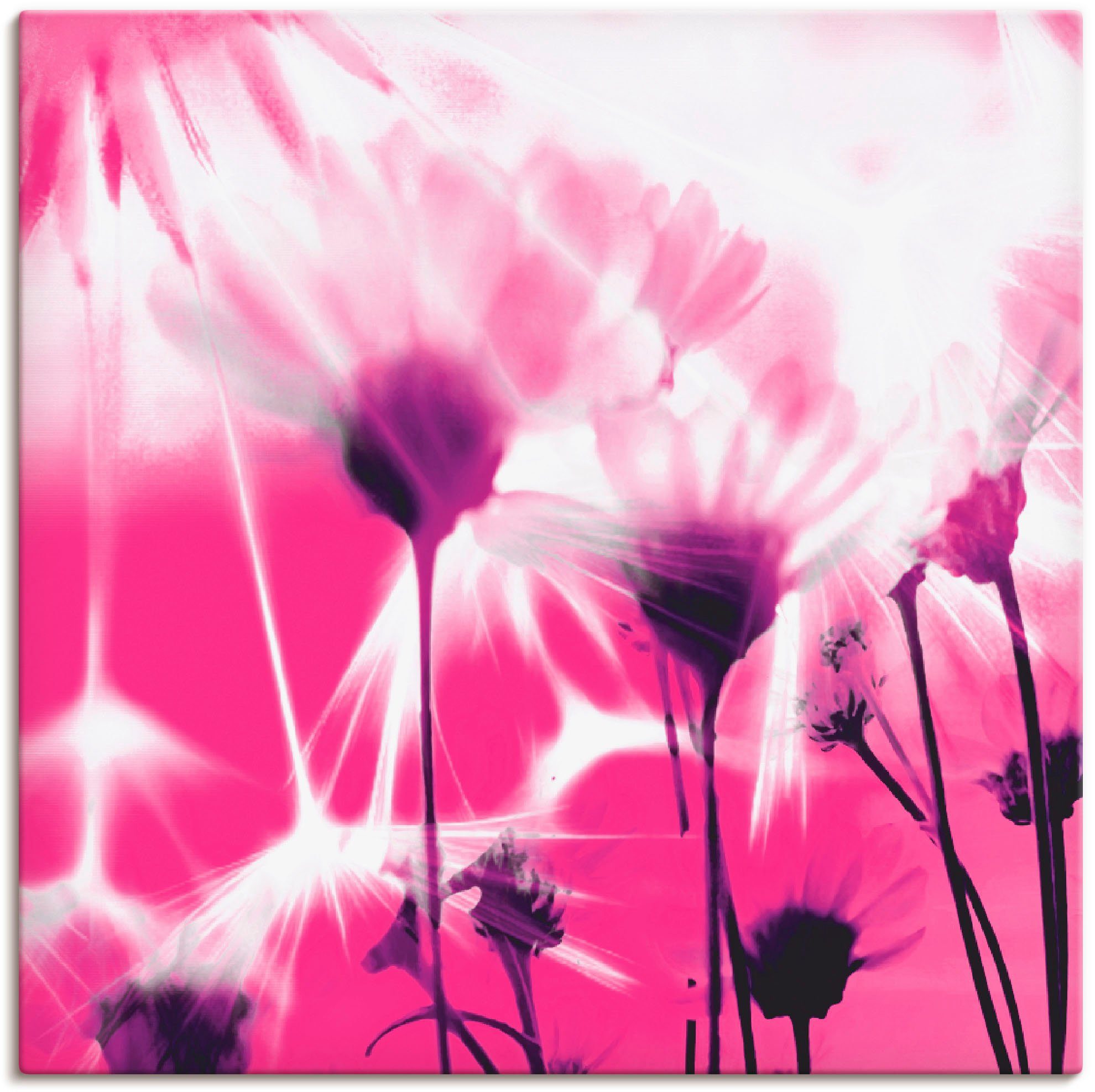 artland artprint op linnen pluizenbol abstract gespannen op een spieraam roze
