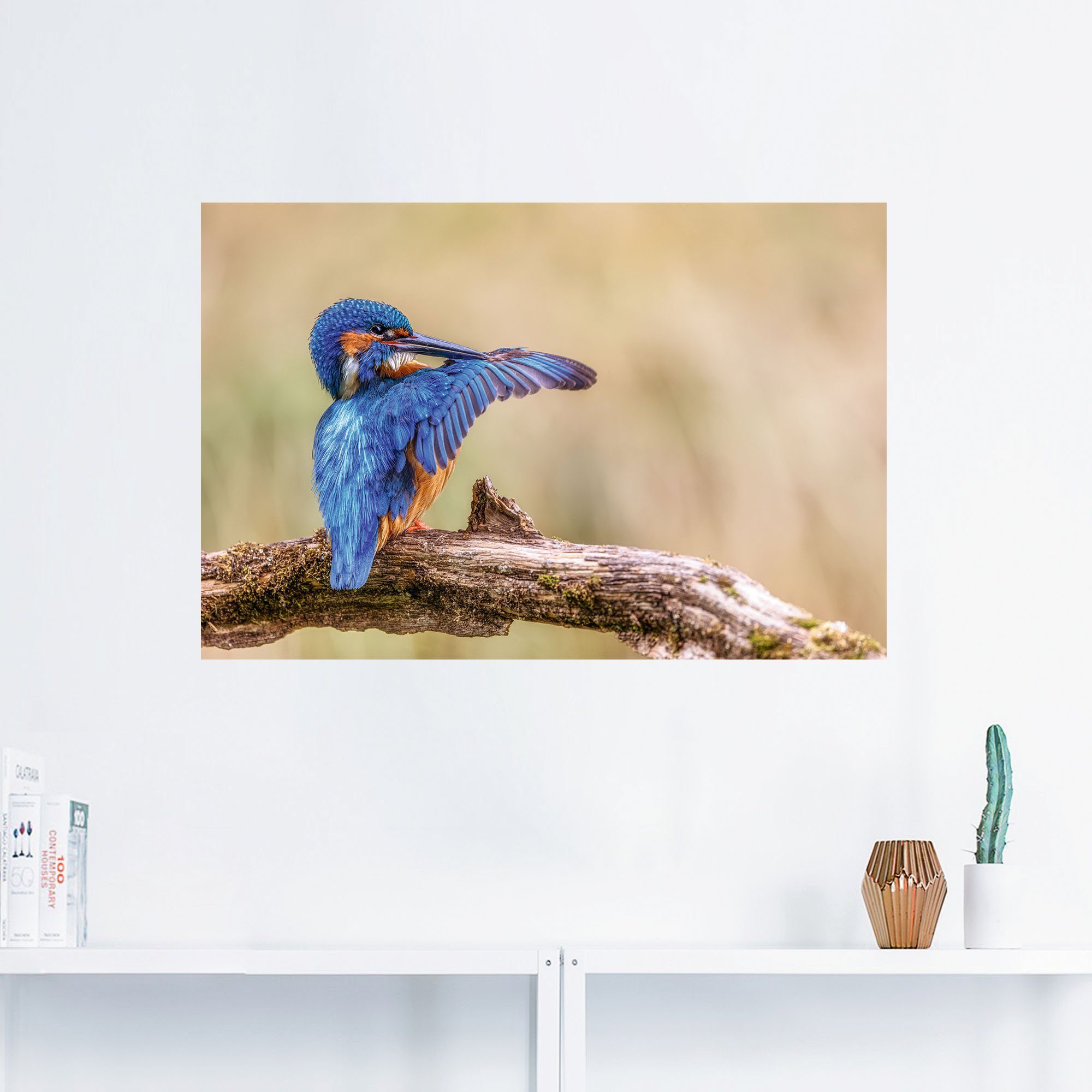 Artland Aluminium dibond print Ijsvogel II