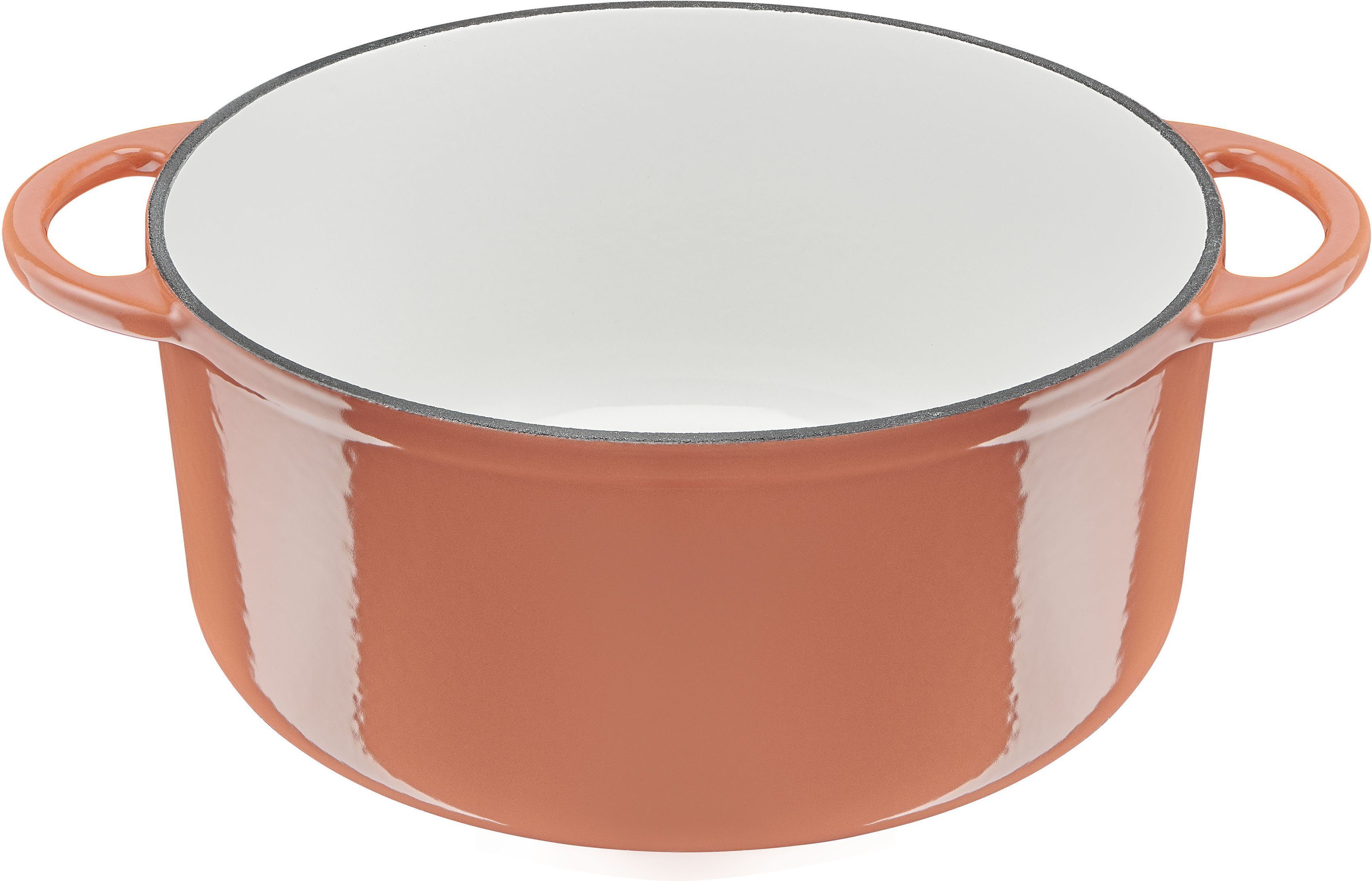 Tefal Kookpan LOV milieuvriendelijk, onschadelijke pigmenten, langzaam garen, ø 25 cm, inductie (1-delig)