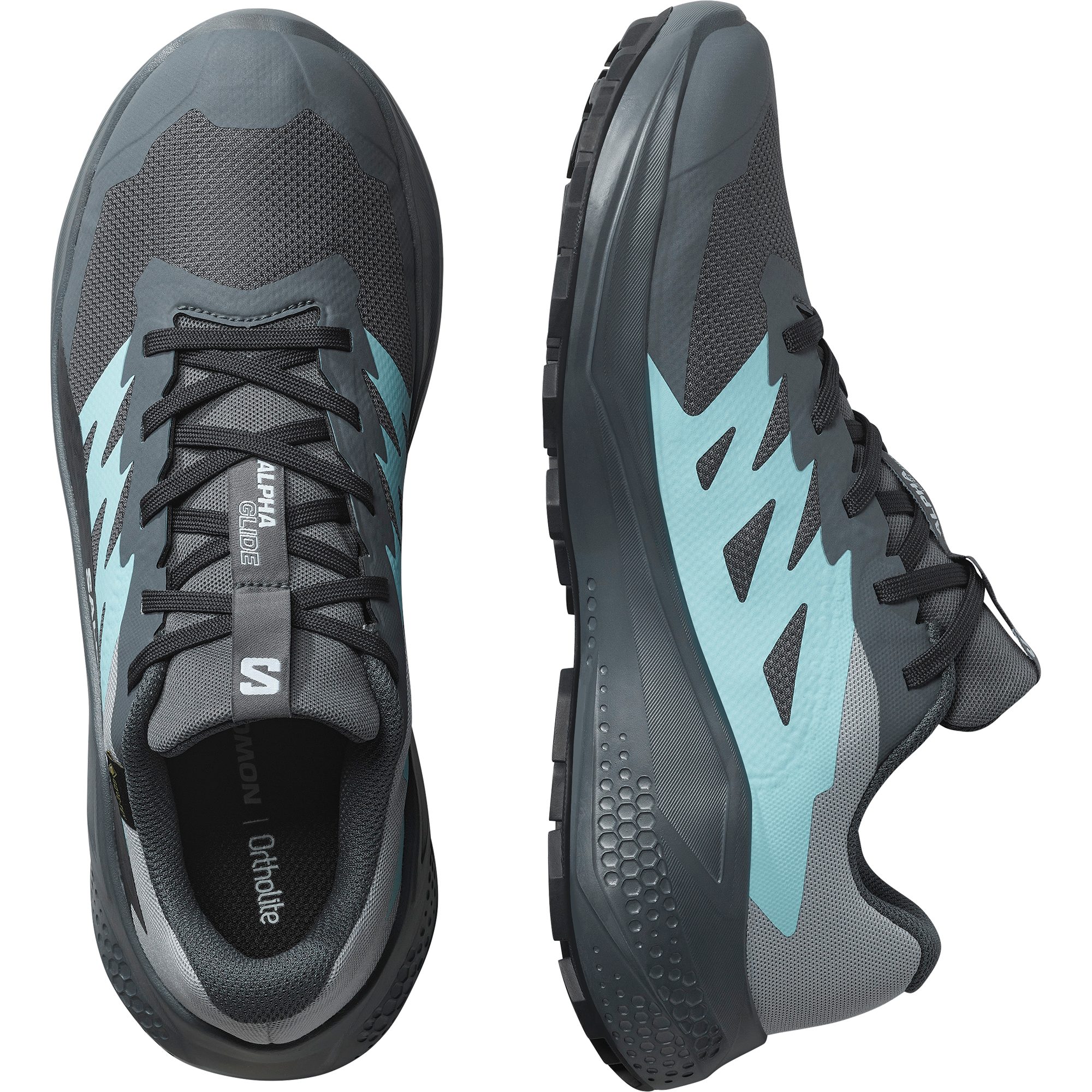 Salomon Trailrunningschoenen ALPHAGLIDE GTX W