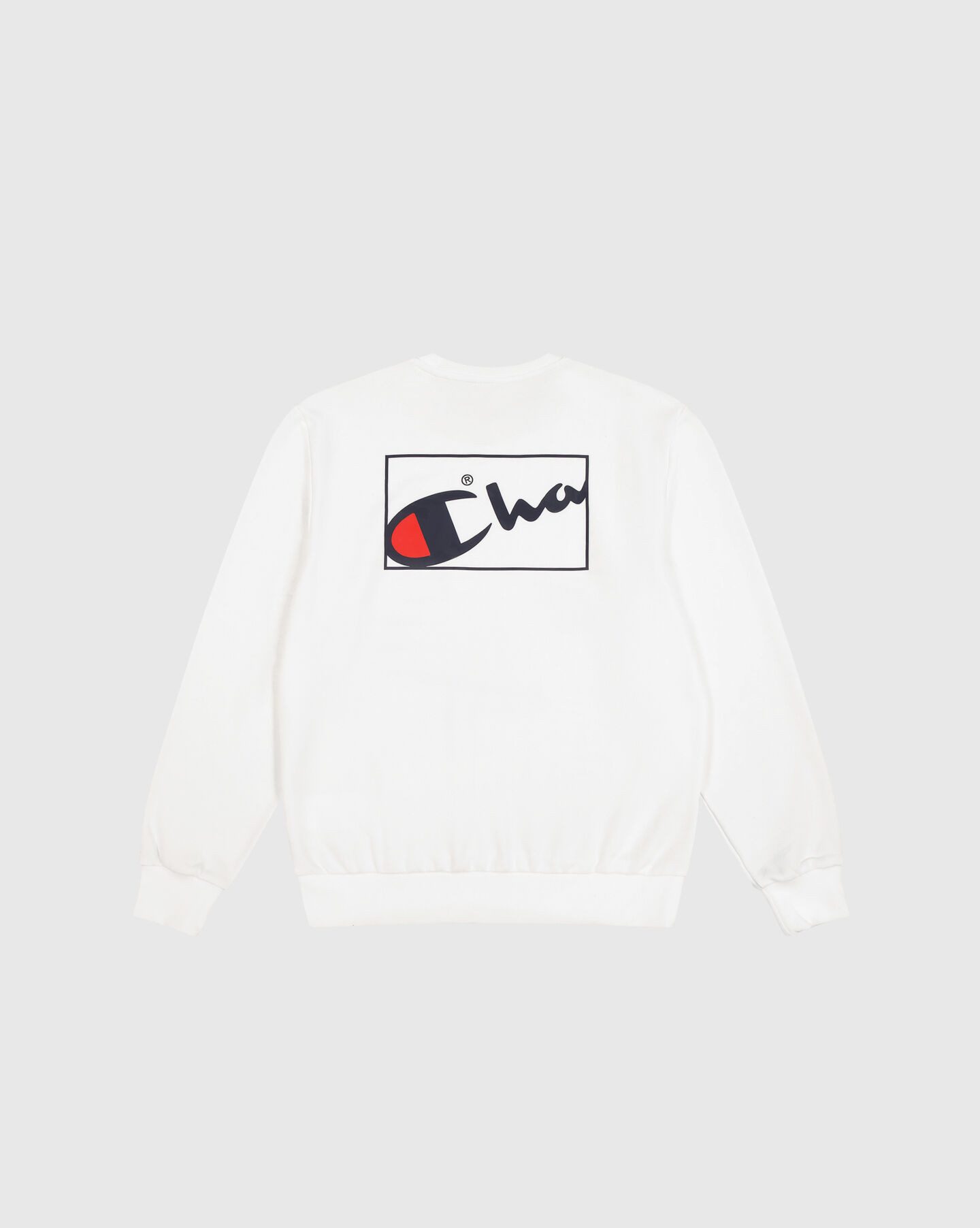 Champion Sweatshirt