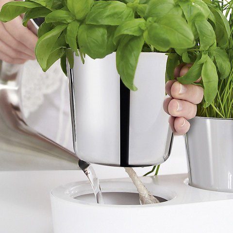 WMF Kruidenpotje met bewateringssysteem, indoor (set, 7-delig)