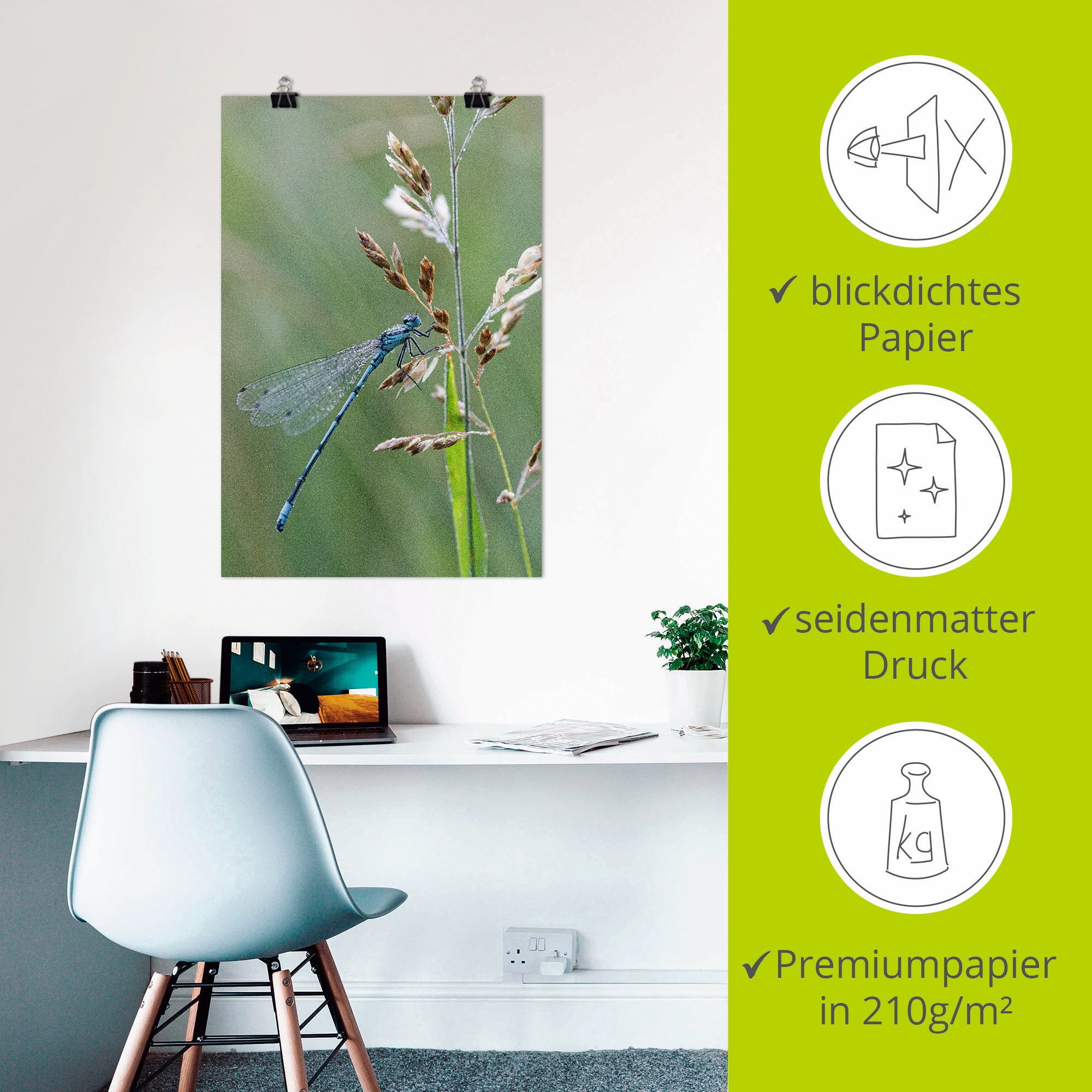 Artland Poster Kleine libelle als artprint van aluminium, artprint op linnen, muursticker of poster in verschillende maten