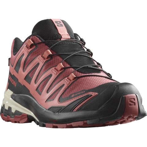 Salomon Women's XA Pro 3D V9 Gore-Tex Trail Running Shoes Cow Hide-Black-Faded Rose