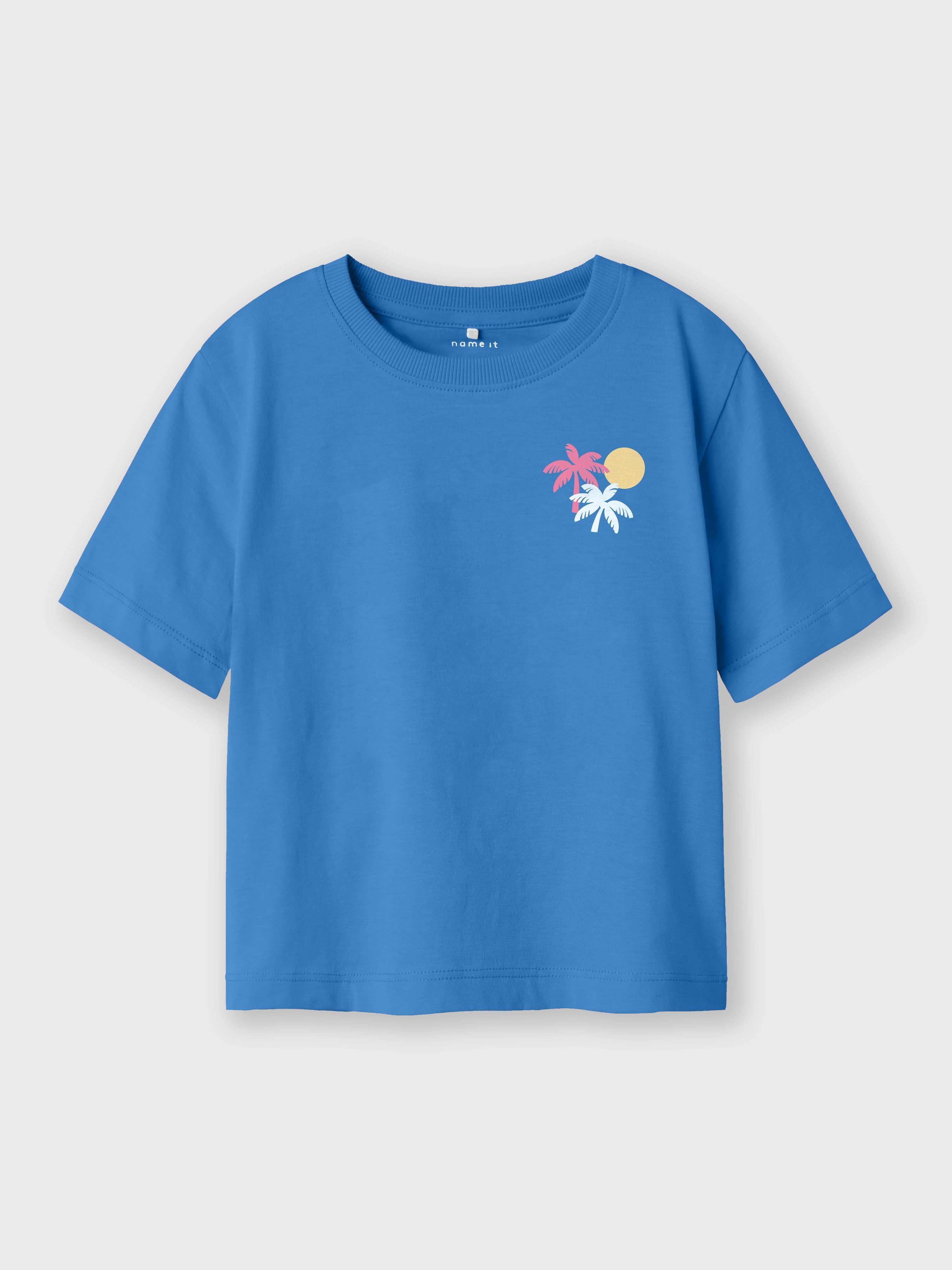 Name It Shirt met korte mouwen NMFJASSA 2P SS NREG TOP PB (set, 2-delig)