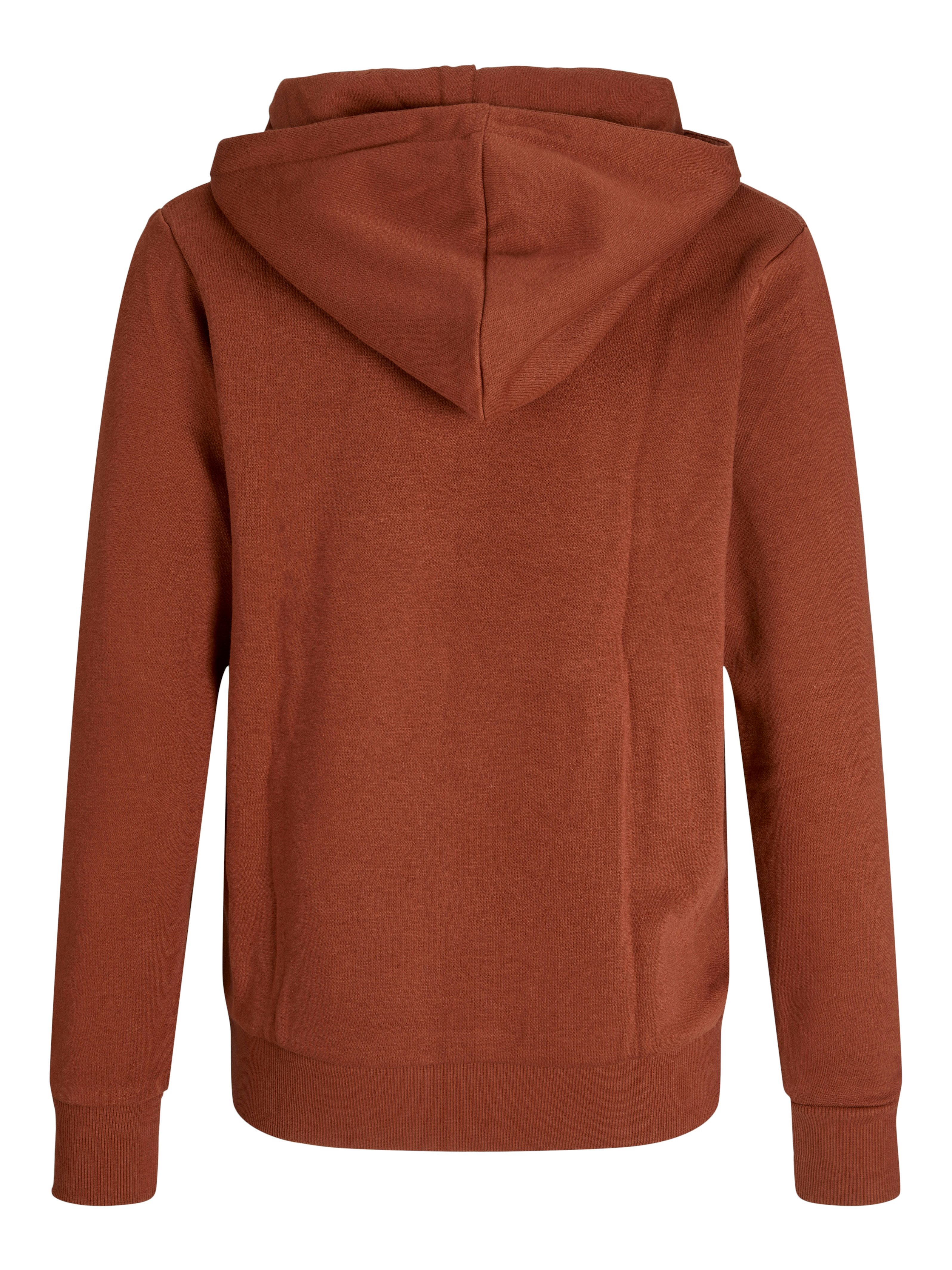 Jack & Jones Junior Hoodie JJECALEB VARSITY SWEAT HOOD NOOS JNR