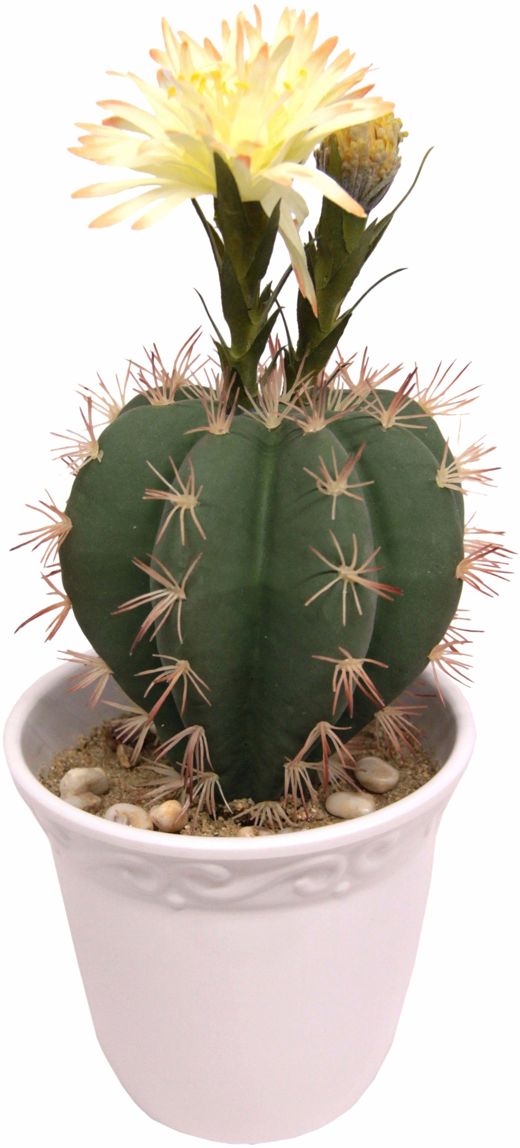 I.GE.A. Kunstplant Kogelcactus bloem (1 stuk) nu online bestellen | OTTO