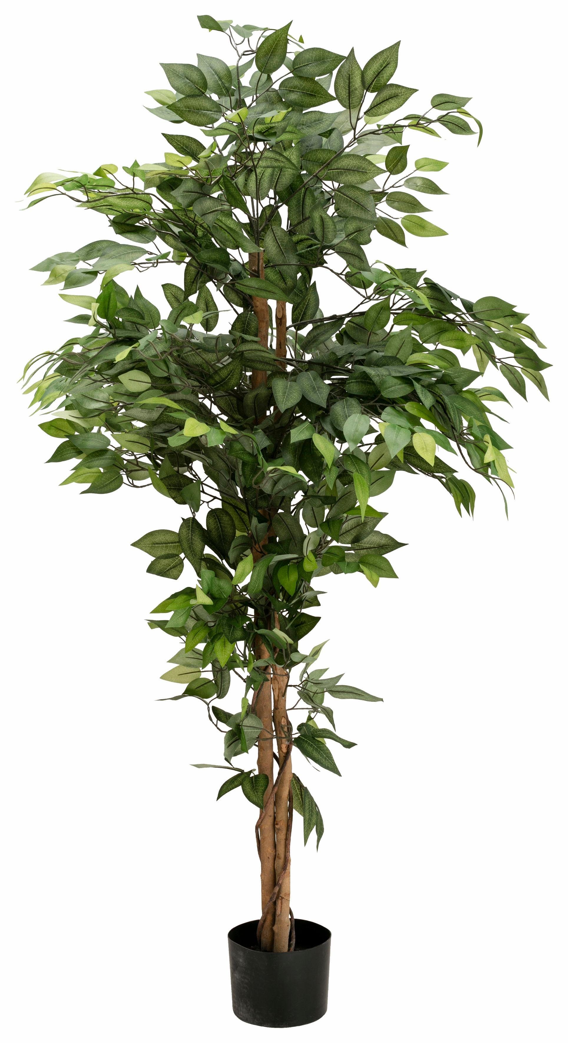 Creativ green Kunstplant Ficus Benjamini (1 stuk)