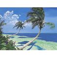 home affaire artprint op linnen s.westmoreland-palm 80-60 cm blauw