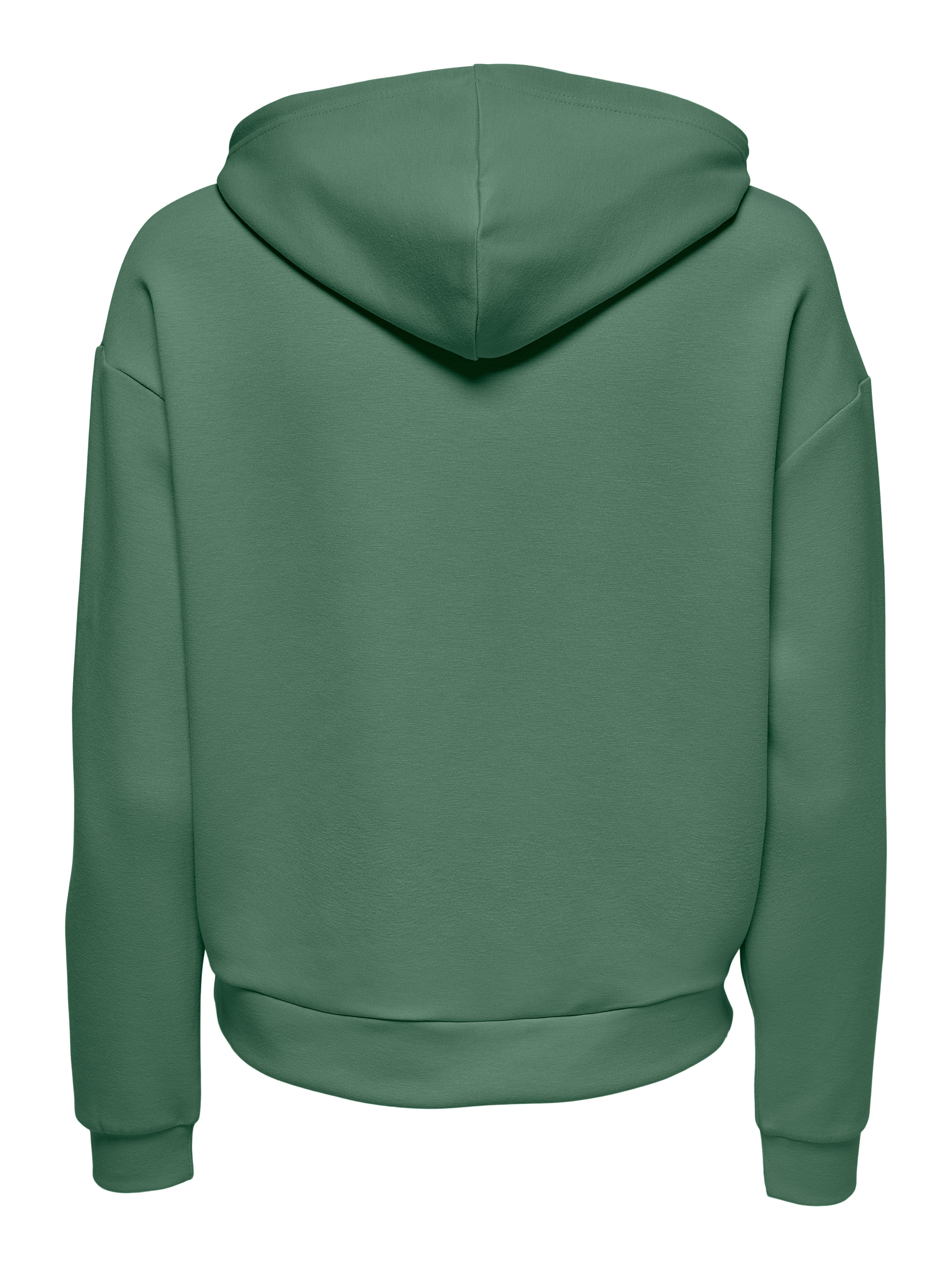 Only Play Hoodie ONPLOUNGE LS HOOD SWEAT - NOOS