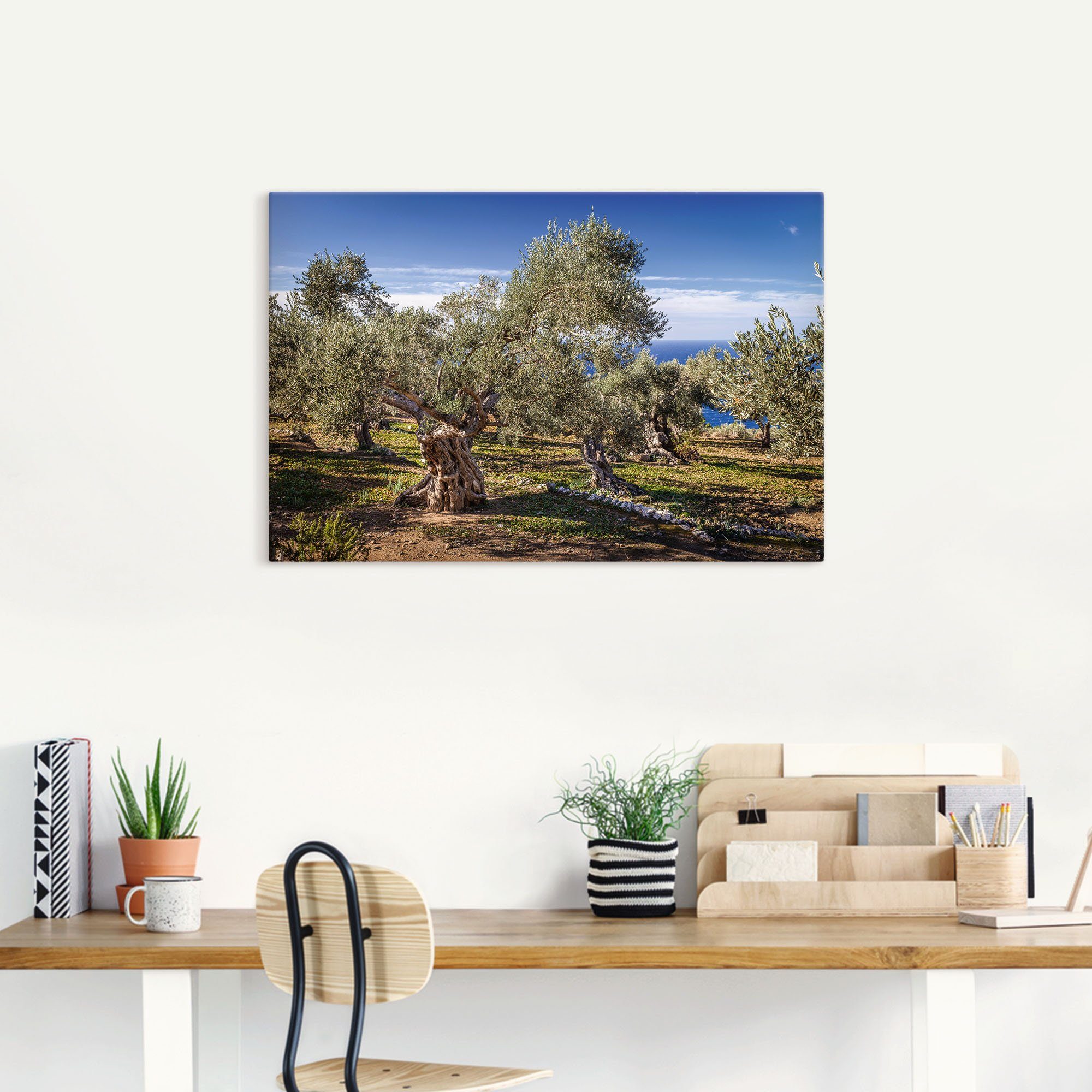 Artland Artprint Olijfgaard in de Serra de Tramuntana als artprint van aluminium, artprint voor buiten, artprint op linnen, poster in verschillende maten. maten
