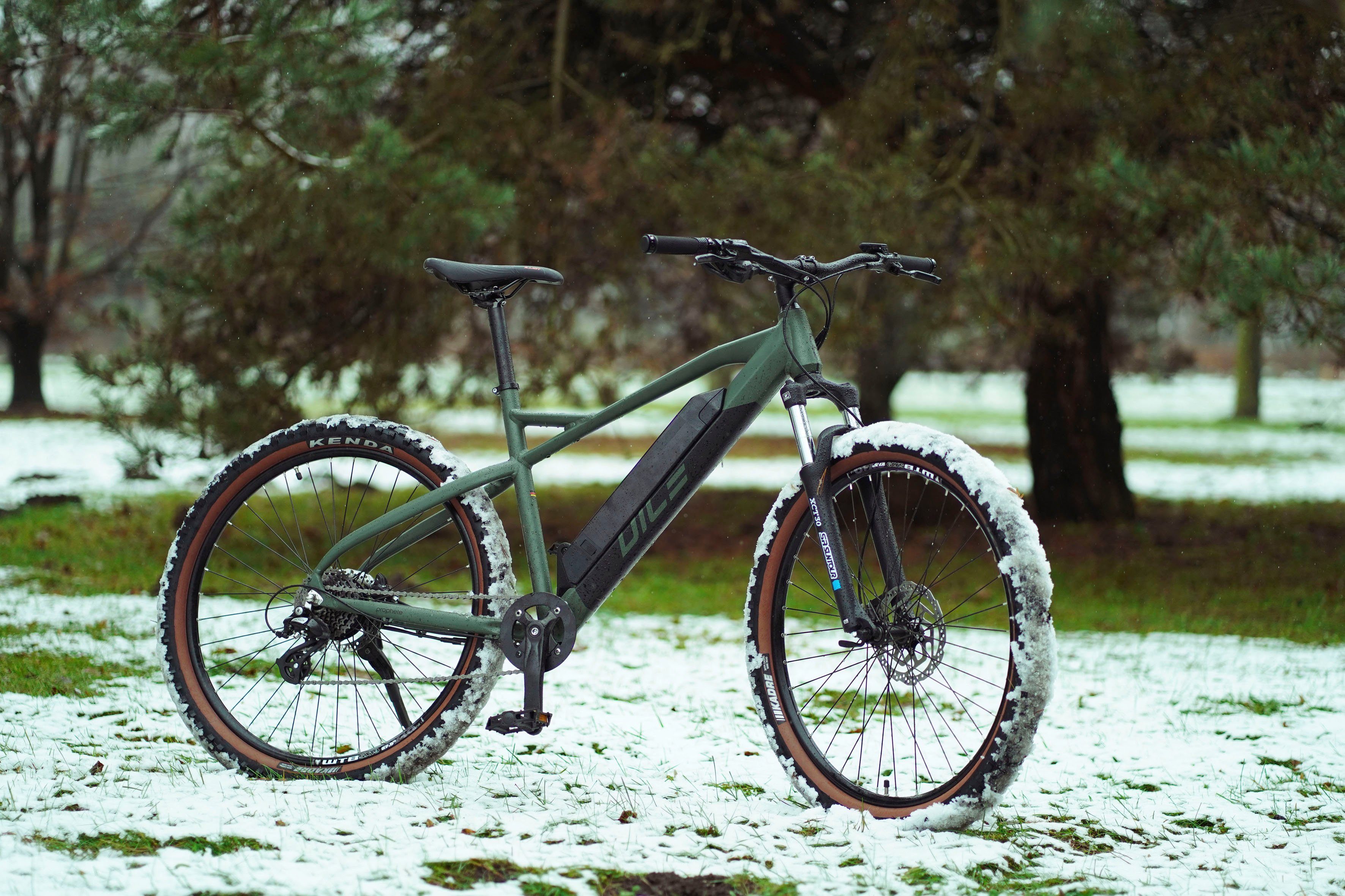 Prophete E-bike DICE 1.0 Pedelec, elektrische fiets voor dames en heren, MTB