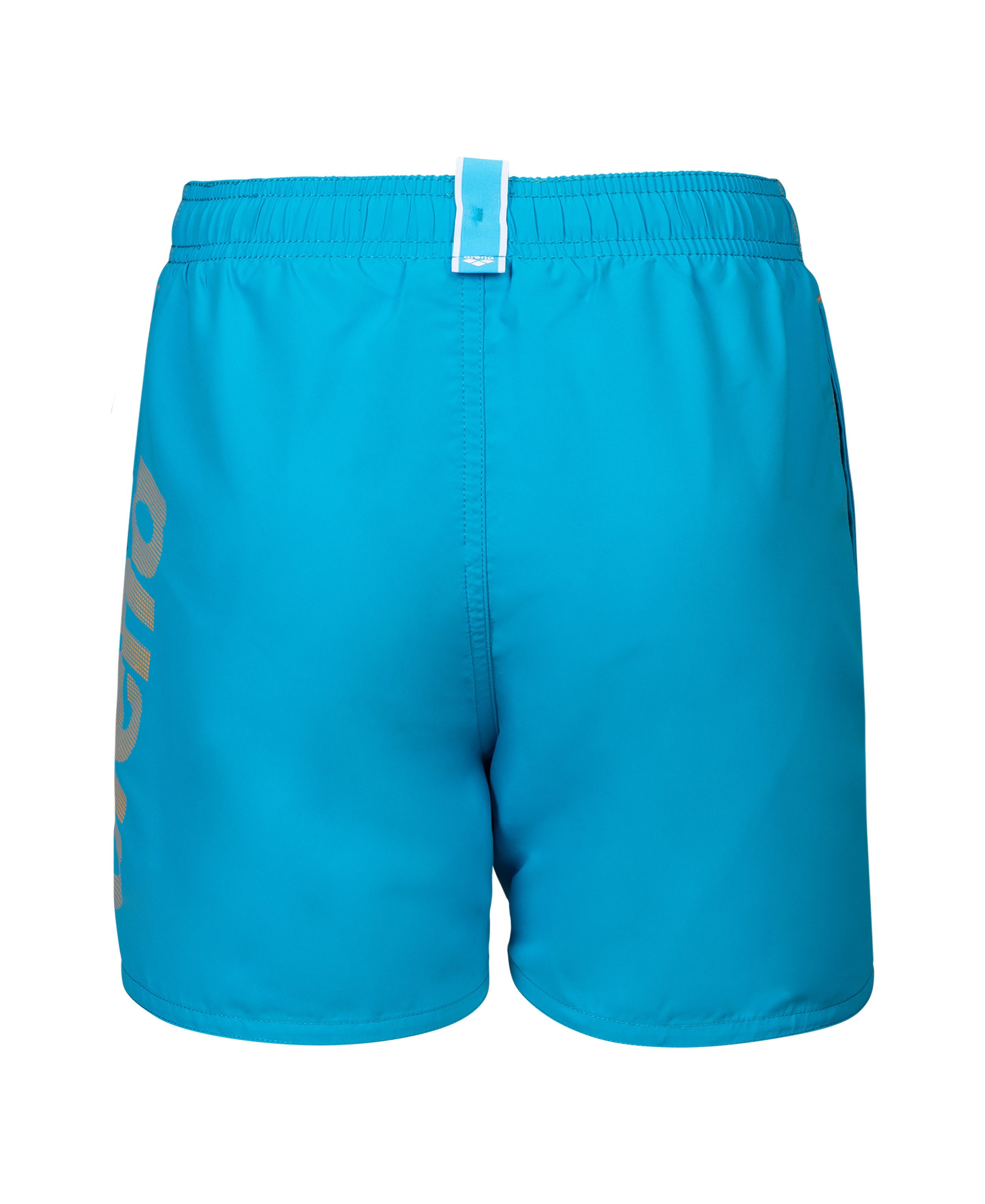 Arena Zwemshort FUNDAMENTALS ARENA LOGO JR BOXER R