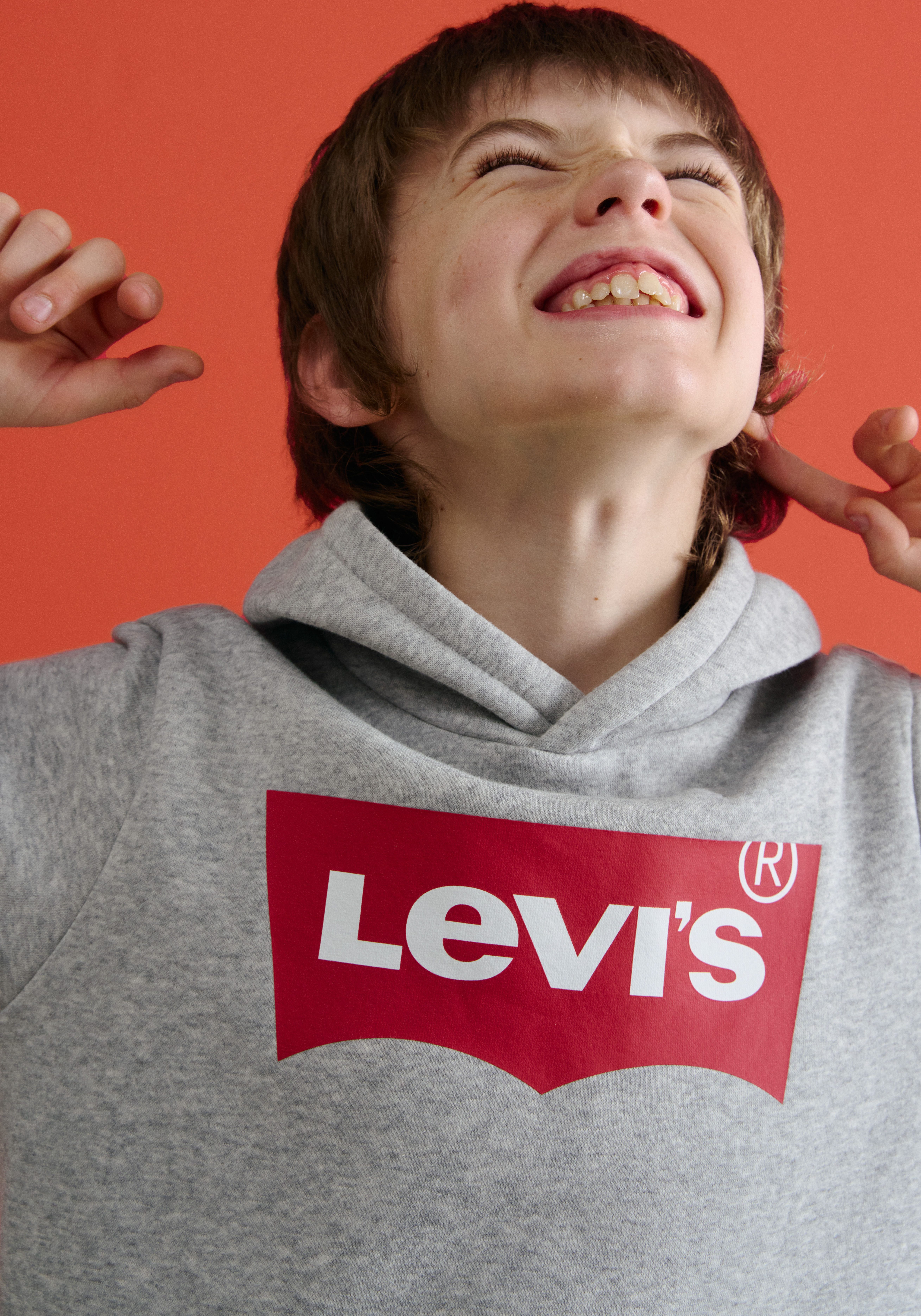 Levi's Kidswear Hoodie LVB BATWING PULLOVER HOODIE