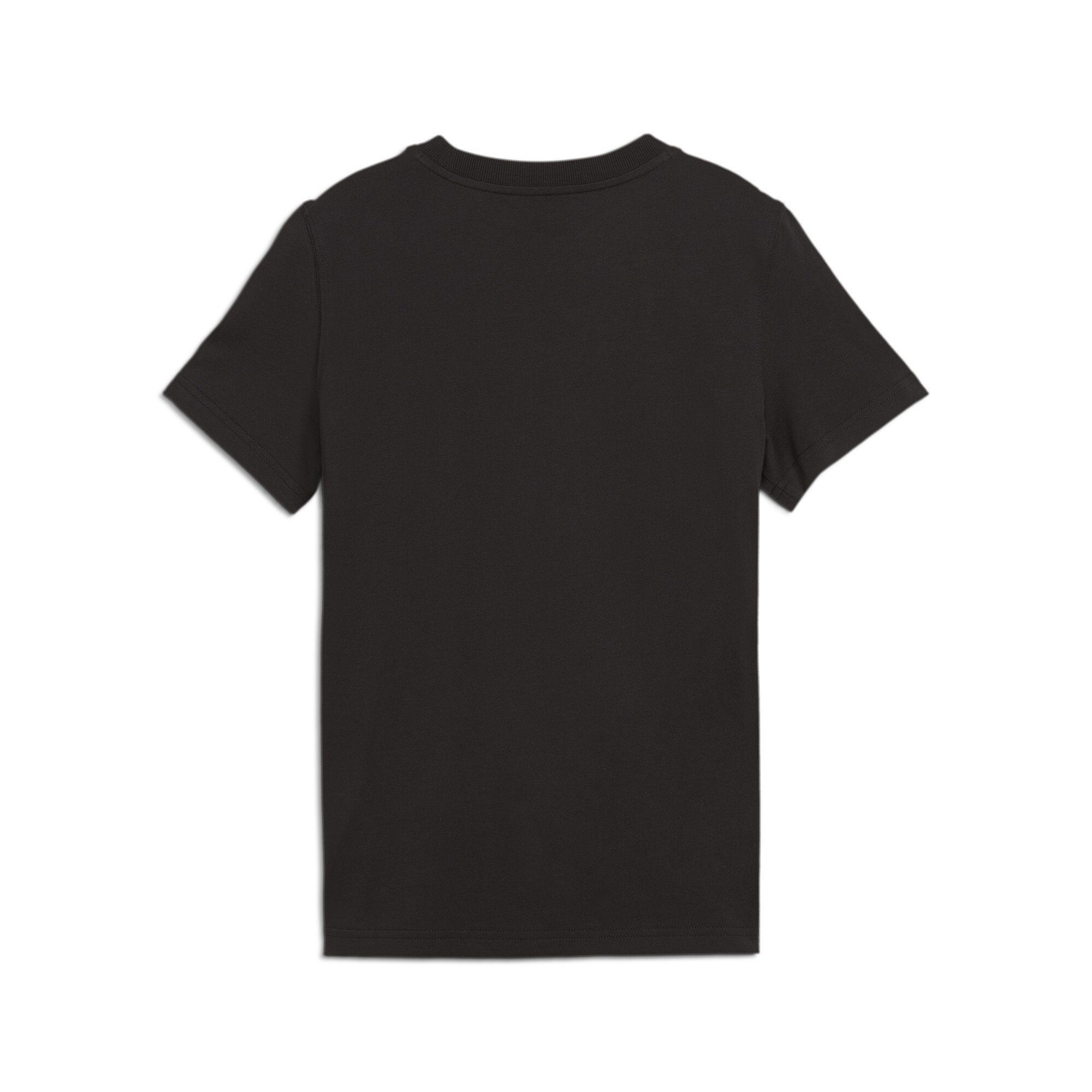PUMA T-shirt SQUAD SMALL GRAPHIC TEE B