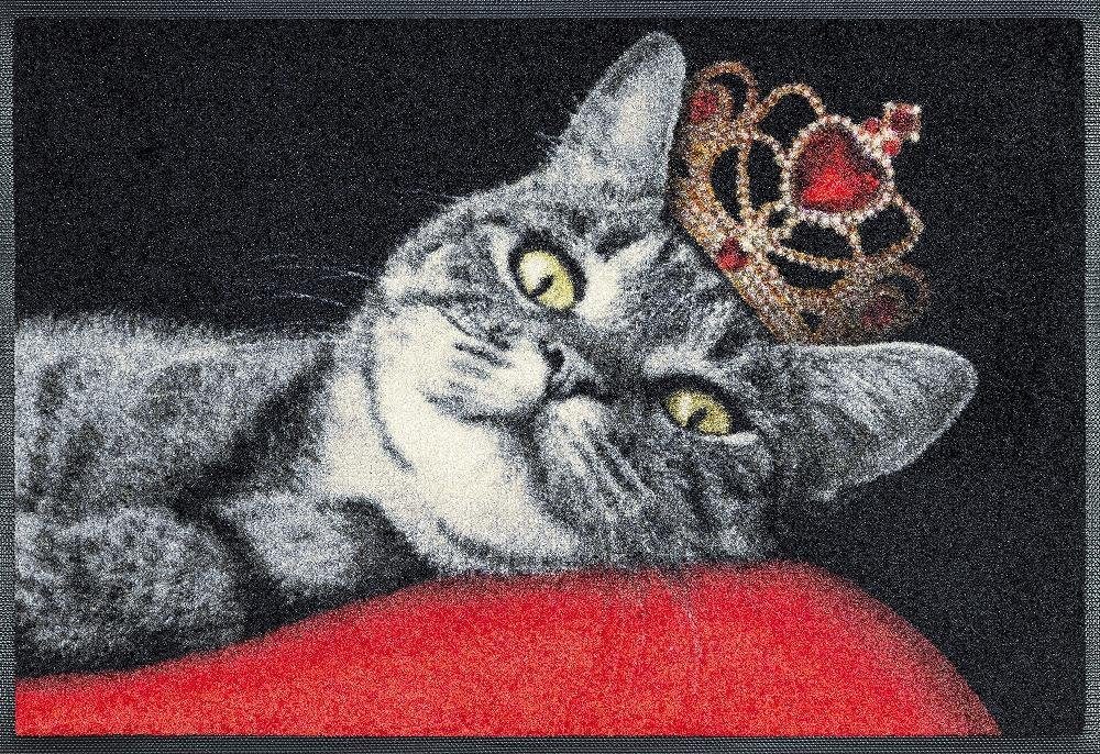 wash+dry by Kleen-Tex Mat Royal Cat Inloopmat, motief kat, antislip, wasbaar deurmatten maat 15 zwart