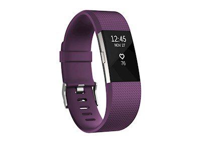 Otto - Fitbit Fitbit Charge 2 - Plum Silver Small
