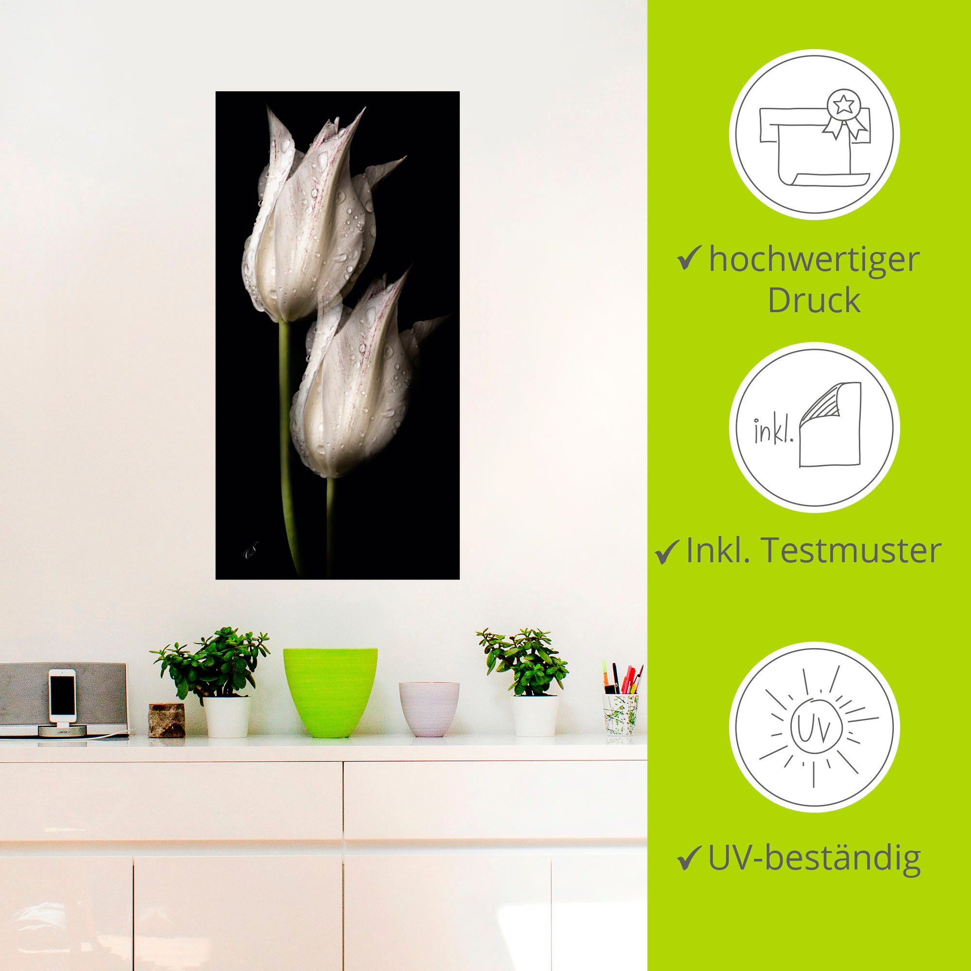 Artland Artprint Witte tulpen in de nacht als artprint van aluminium, artprint voor buiten, artprint op linnen, poster, muursticker