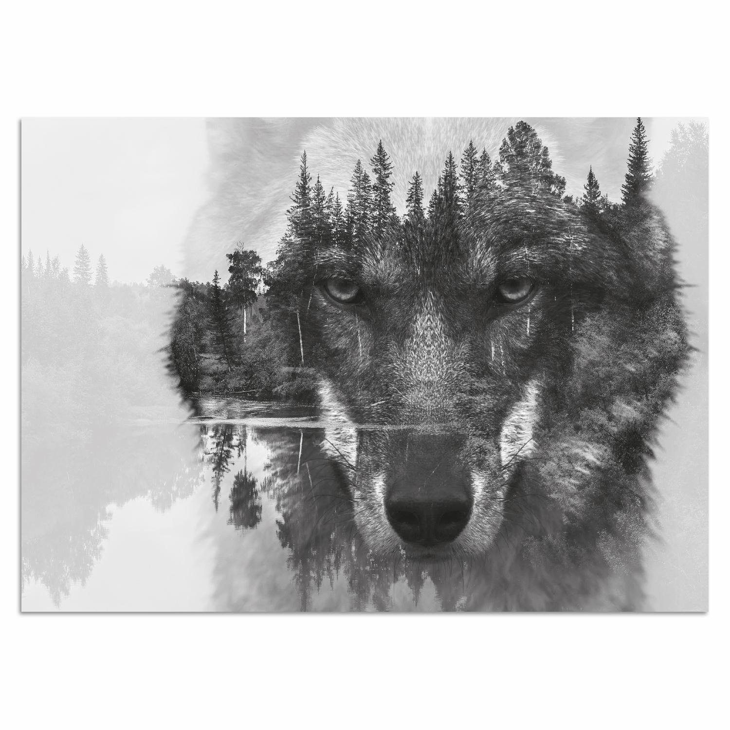 Home affaire Artprint op acrylglas Wolf Zwart/Wit, reflectie, bos, Canada