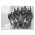 home affaire artprint op acrylglas wolf 60-40 cm zwart