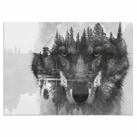 HOME AFFAIRE artprint achter acrylglas, Wolf, 60x40 cm