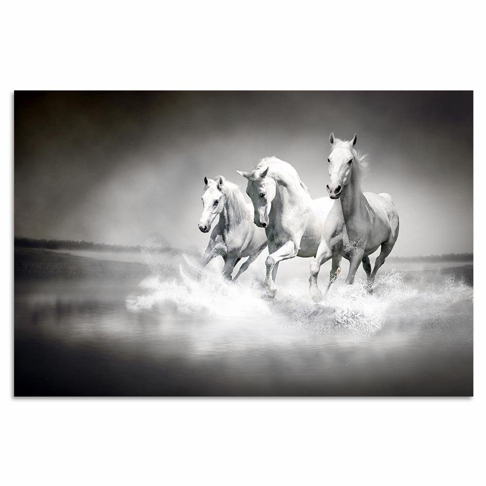 Home affaire Artprint op acrylglas Paarden 60/40 cm