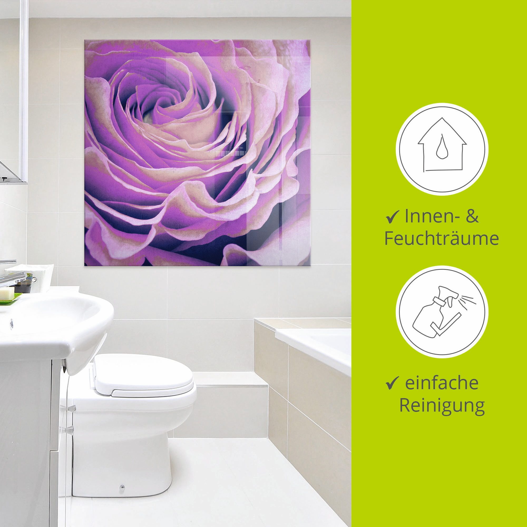 Artland Print op glas Paars Roos in verschillende maten