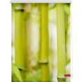 lichtblick rolgordijn met zijbediening klemmfix motief bamboe gedessineerd (1 stuk) groen