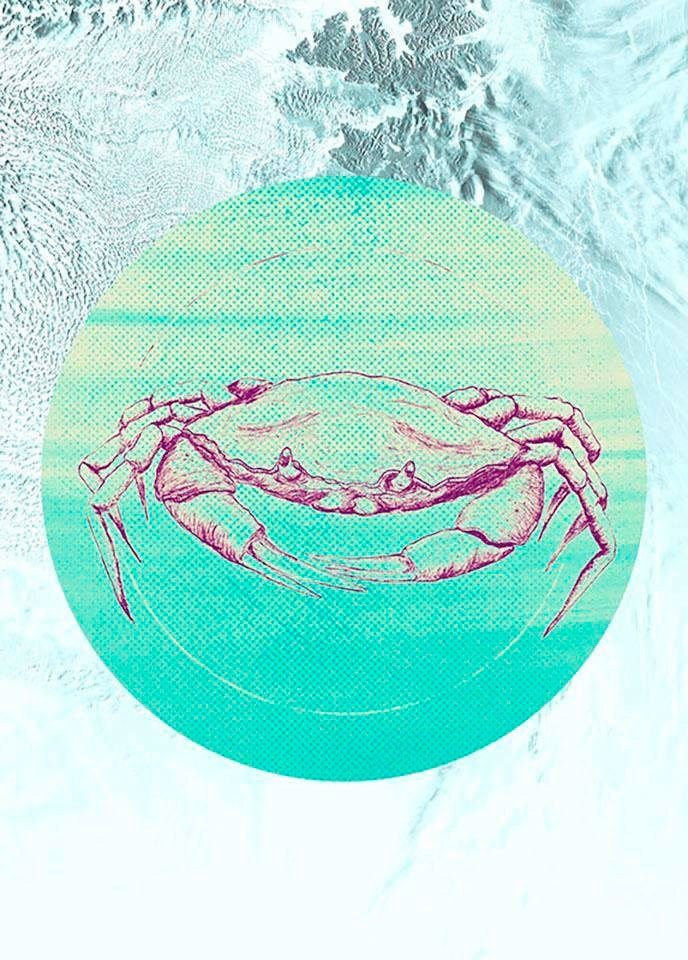 Komar Poster Crab Sea Hoogte: 50 cm
