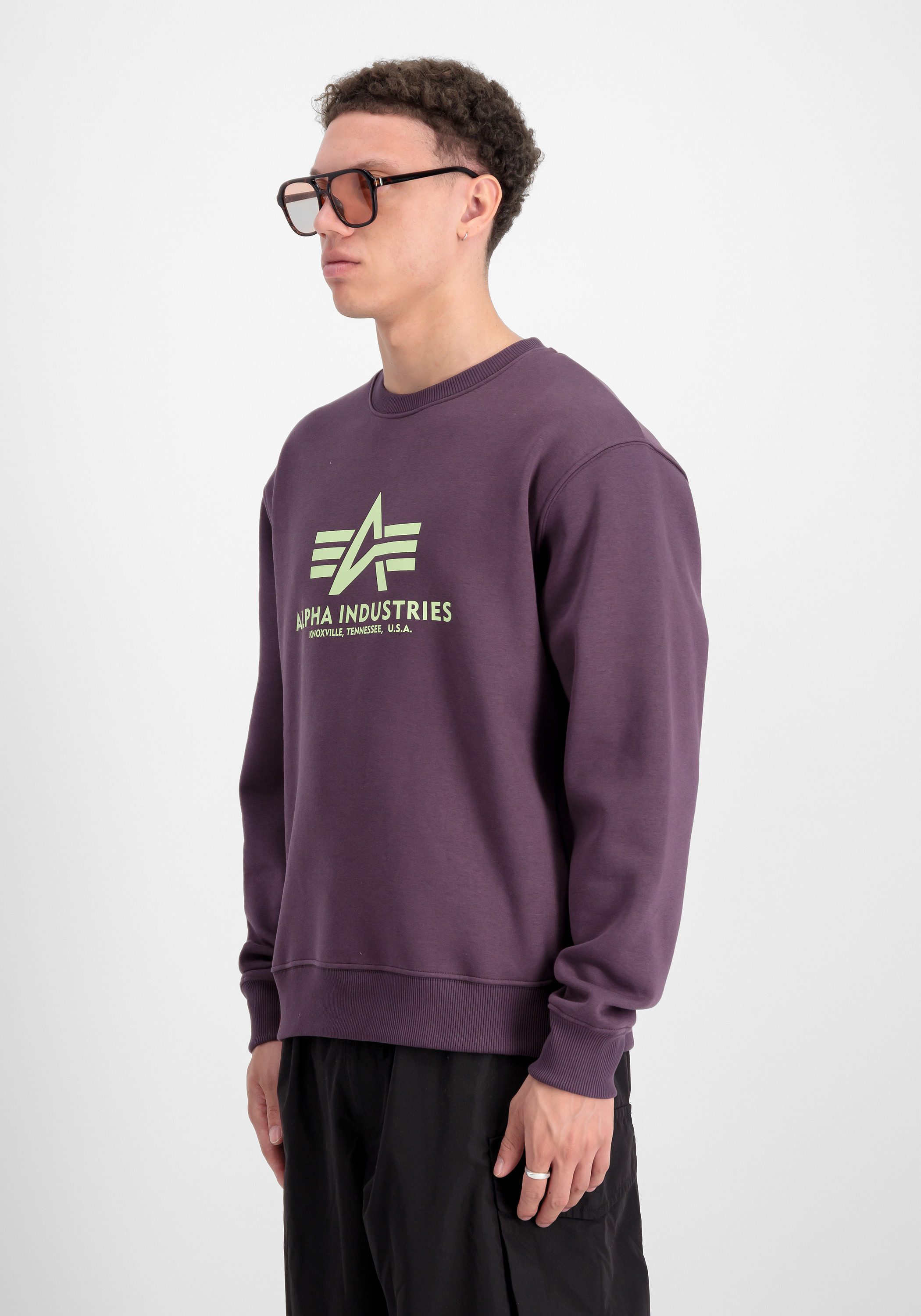 Alpha Industries Sweater Alpha Industries Men - Sweatshirts Basic Sweatshirt BL