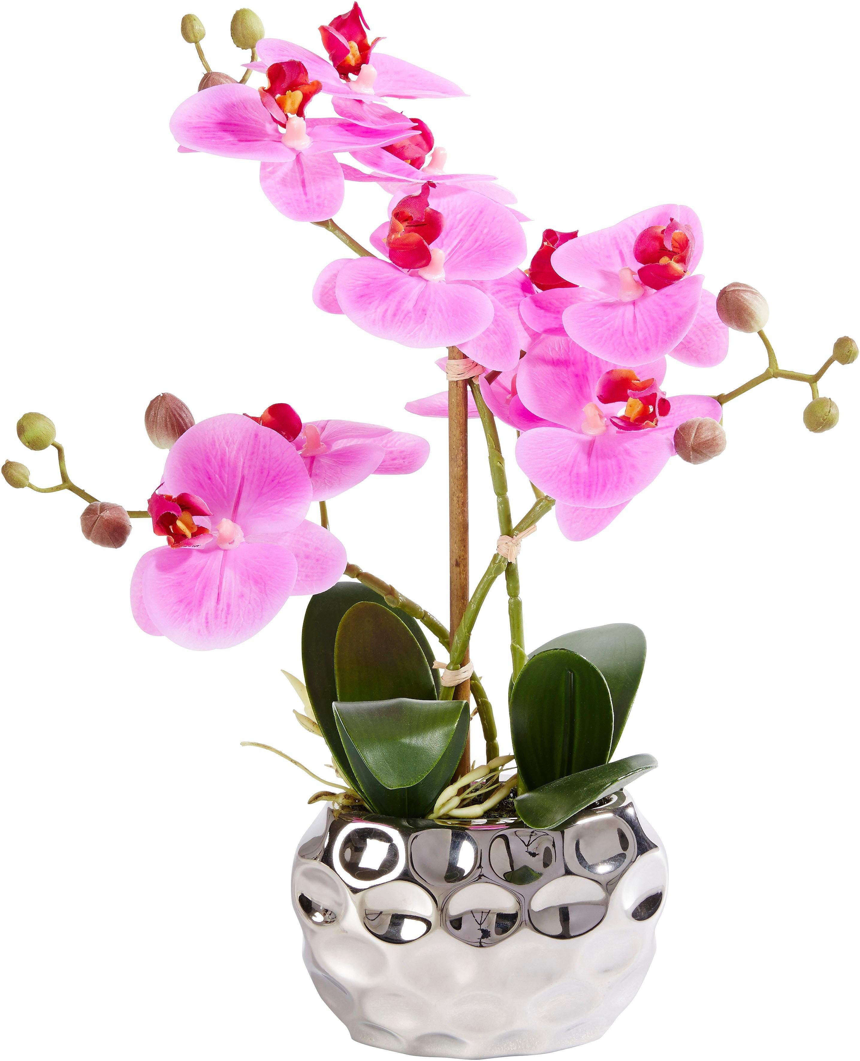 Leonique Kunstplant Orchidee Kunstorchidee, in pot, bestseller, meer dan 2500 4,5-sterren beoordelingen (1 stuk)