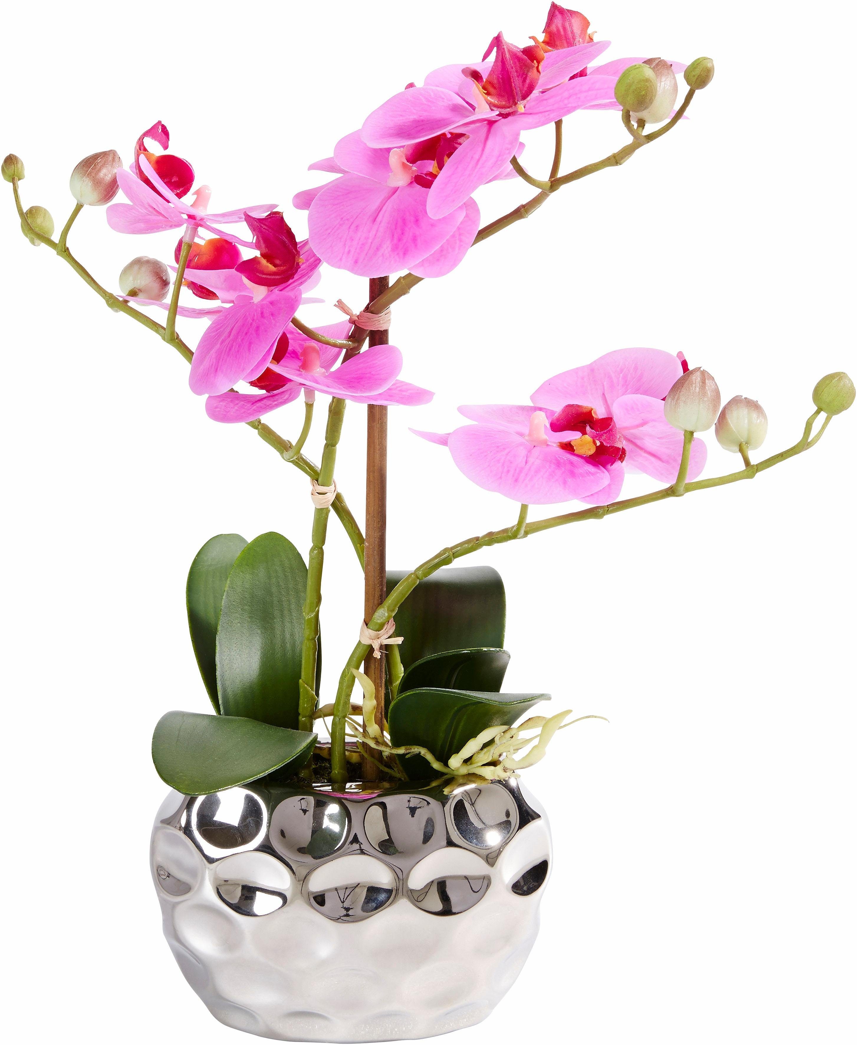 Leonique Kunstplant Orchidee Kunstorchidee, in pot, bestseller, meer dan 2500 4,5-sterren beoordelingen (1 stuk)