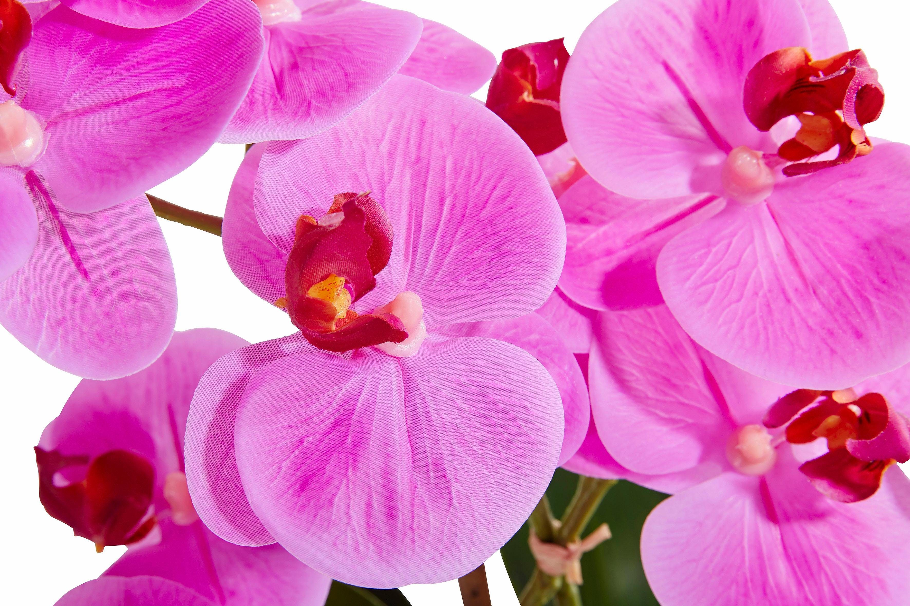 Leonique Kunstplant Orchidee Kunstorchidee, in pot, bestseller, meer dan 2500 4,5-sterren beoordelingen (1 stuk)