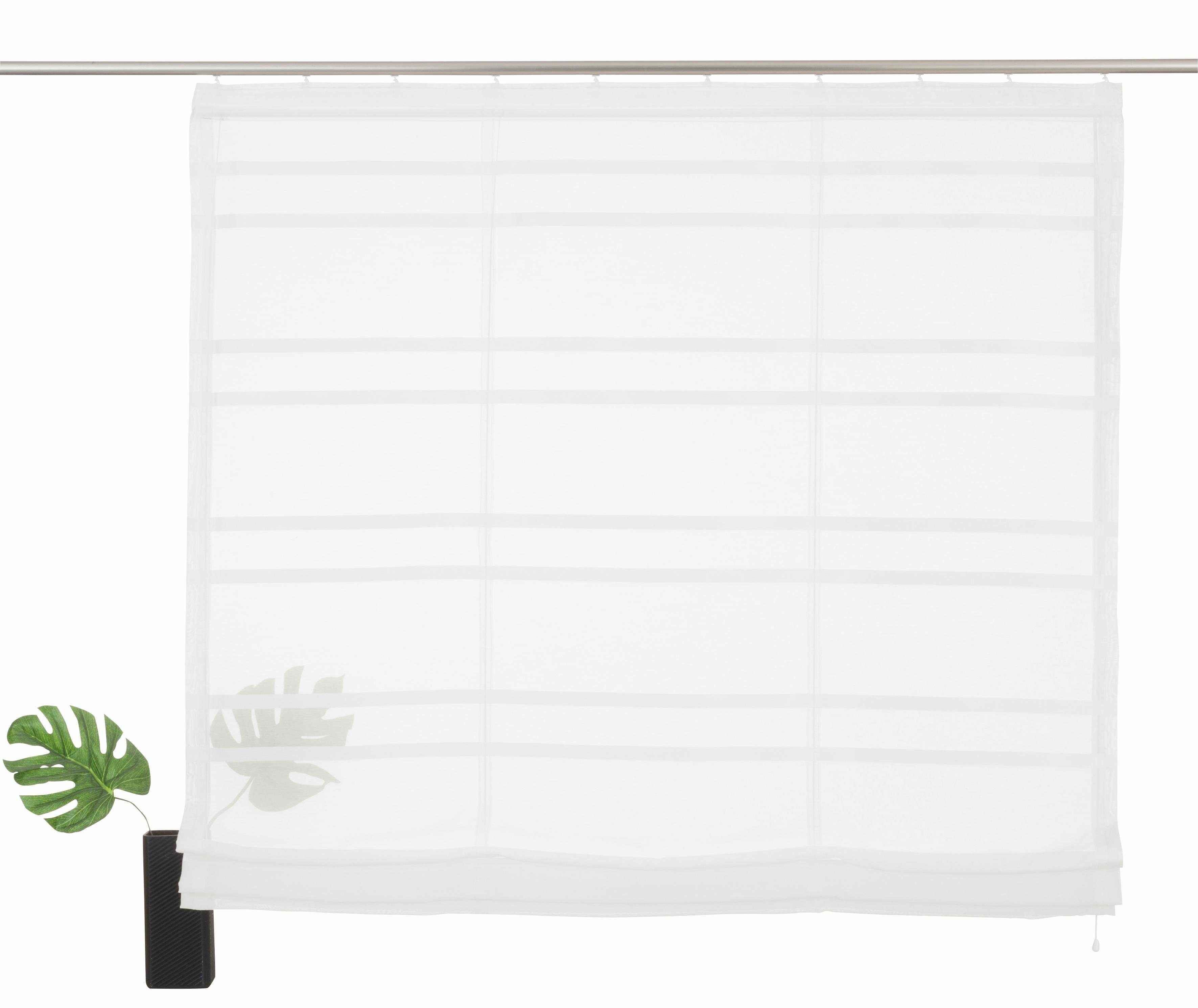 my home Romeins rolgordijn Assen Transparant, voile, polyester (1 stuk)