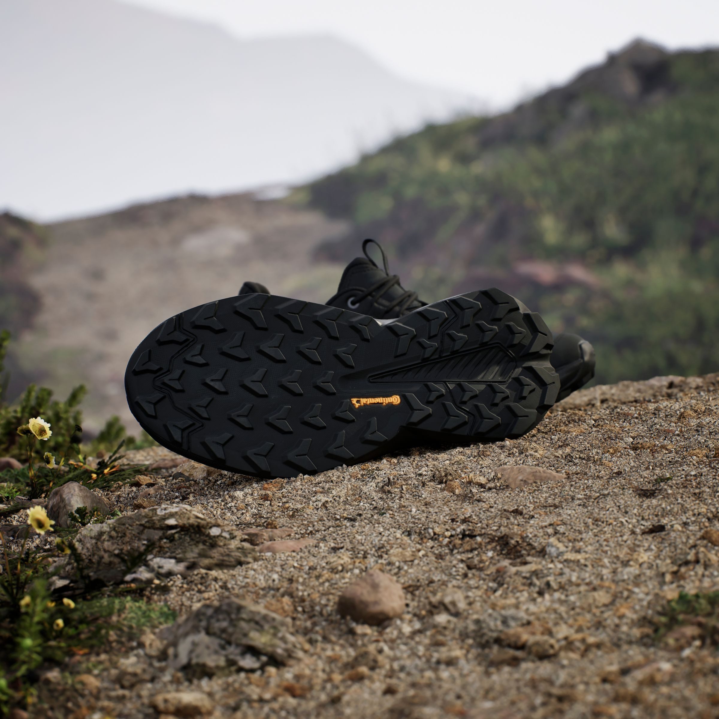 adidas TERREX Wandelschoenen TERREX TRAILMAKER 2.0 LEATHER